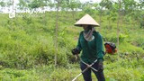 Nghệ An: Tiếp tục rà soát quy hoạch 3 loại rừng