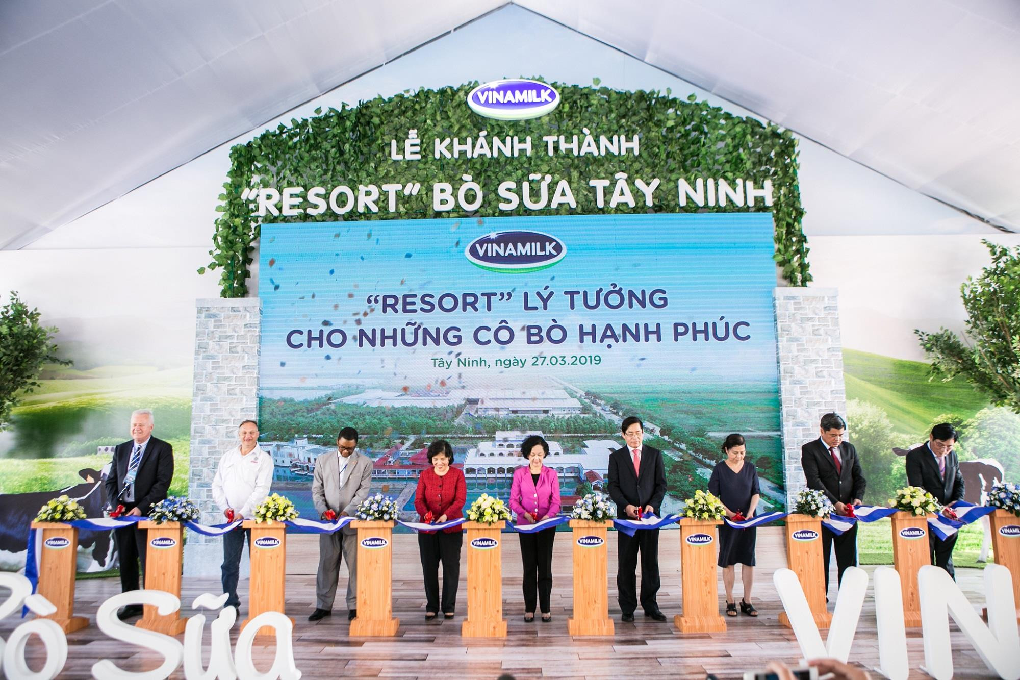 Vinamilk khánh thành “Resort” bò sữa tại Tây Ninh - môi trường sống lý tưởng cho những cô bò hạnh phúc. Ảnh: P.V