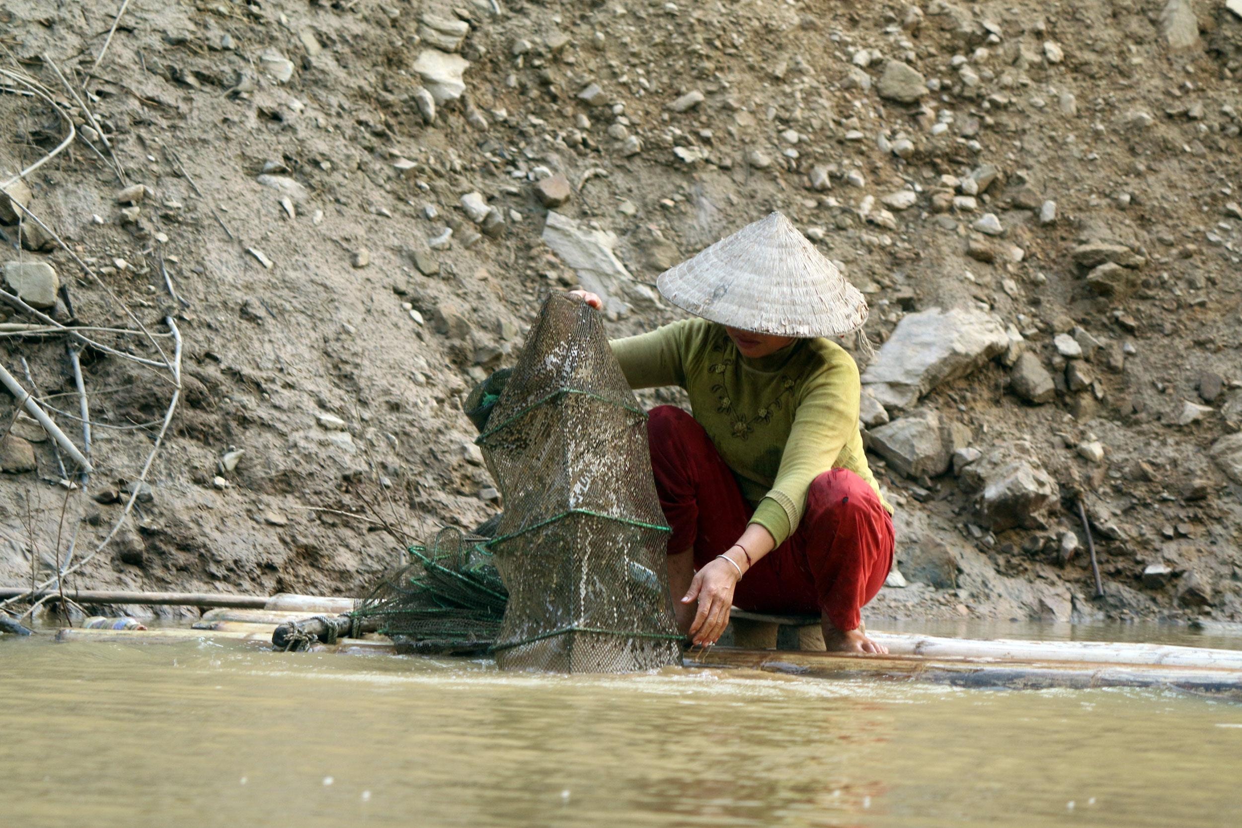 Nữ ngư phủ này cho hay bản thân phải lao động trên mặt sông hai buổi mỗi ngày thày vì chỉ làm vào buổi chiều khi mùa nước lên