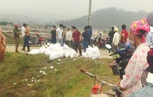 Sáng 17/4, lực lượng cảnh sát vây bắt nhóm đối tượng mua bán ma túy, thu giữ tại cánh bên vệ đường ở cánh đồng muối xã Quỳnh Thuận 24 bao tải màu trắng. Ảnh: T.B