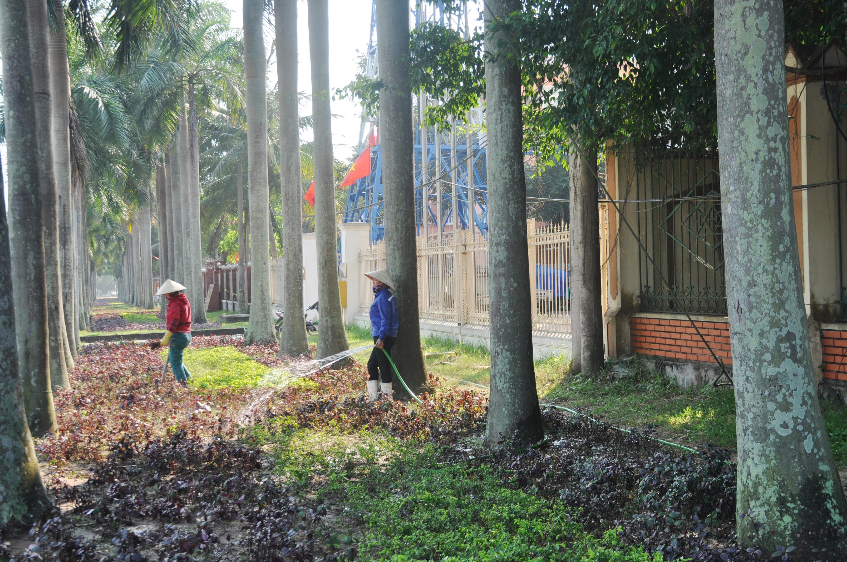 chăm sóc khuôn viên, cây cảnh. Ảnh: Việt Phương