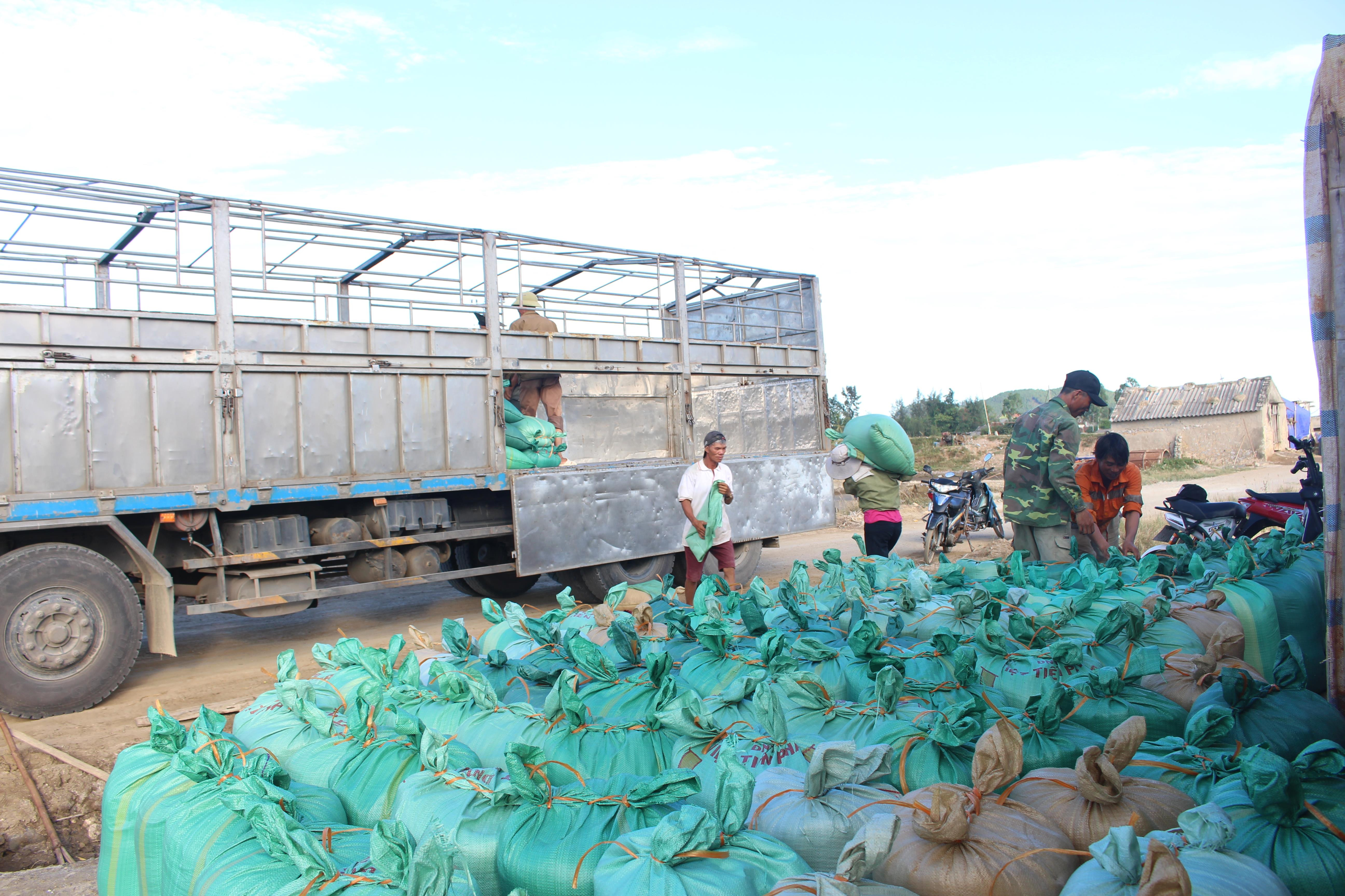 Giá muối đầu vụ được thương lái thu mua1.400 đồng/kg (cao hơn thời điểm năm ngoái 200 đồng/kg). Ảnh: Việt Hùng