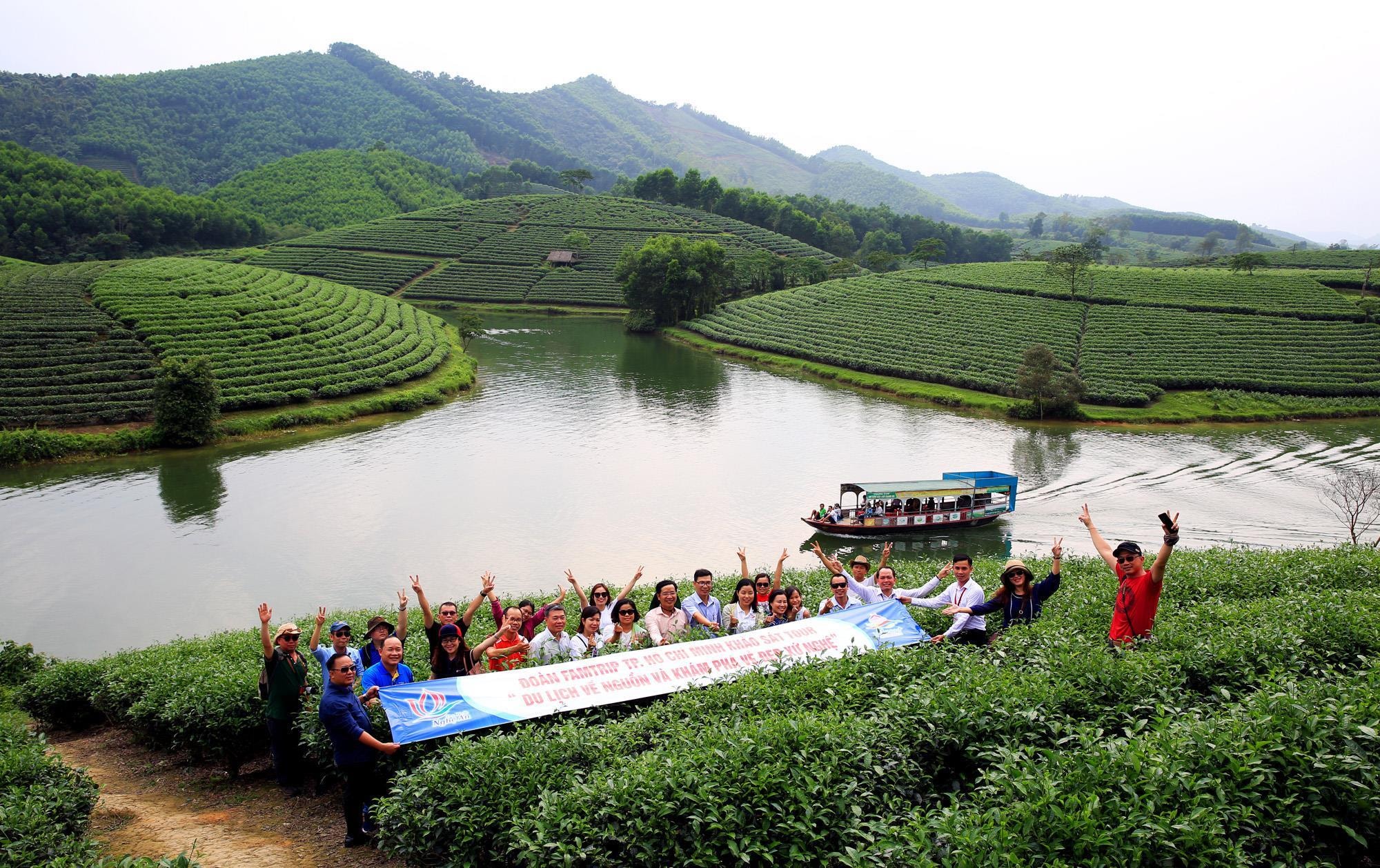 Đoàn Famtrip thành phố Hồ Chí Minh khảo sát tại đảo chè (Thanh Chương). Ảnh: Hồ Phương