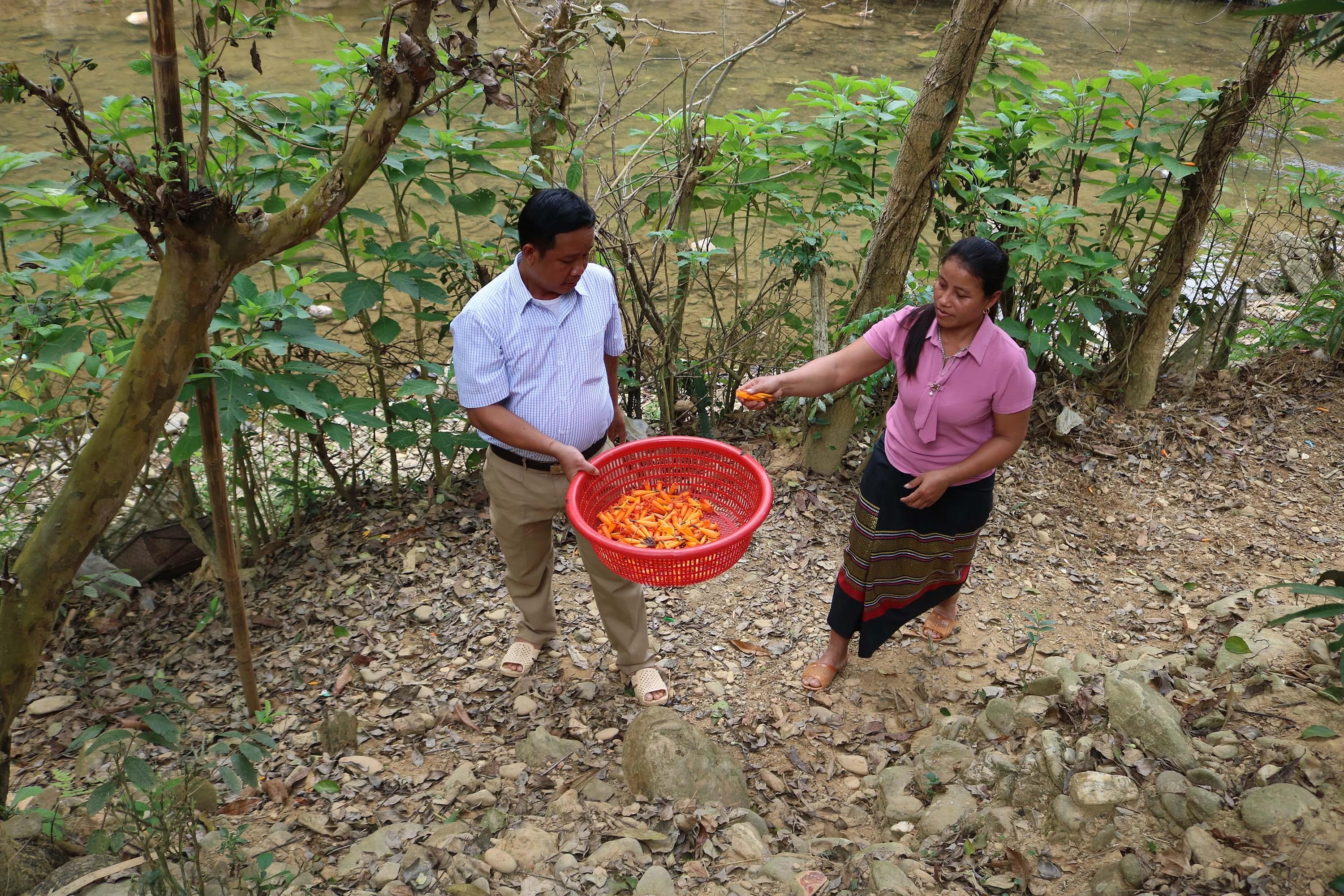 4. Theo ông Moong Văn Lợi, phó chủ tịch UBND xã Bảo Thắng, Kỳ Sơn chia sẻ, Món canh hoa Đoọc Pịt là món ăn truyền thống được đồng bào Khơ Mú dùng để giải nhiệt trong ngày nắng nóng, nên hiện nay hoa này cũng trở thành hàng hóa.