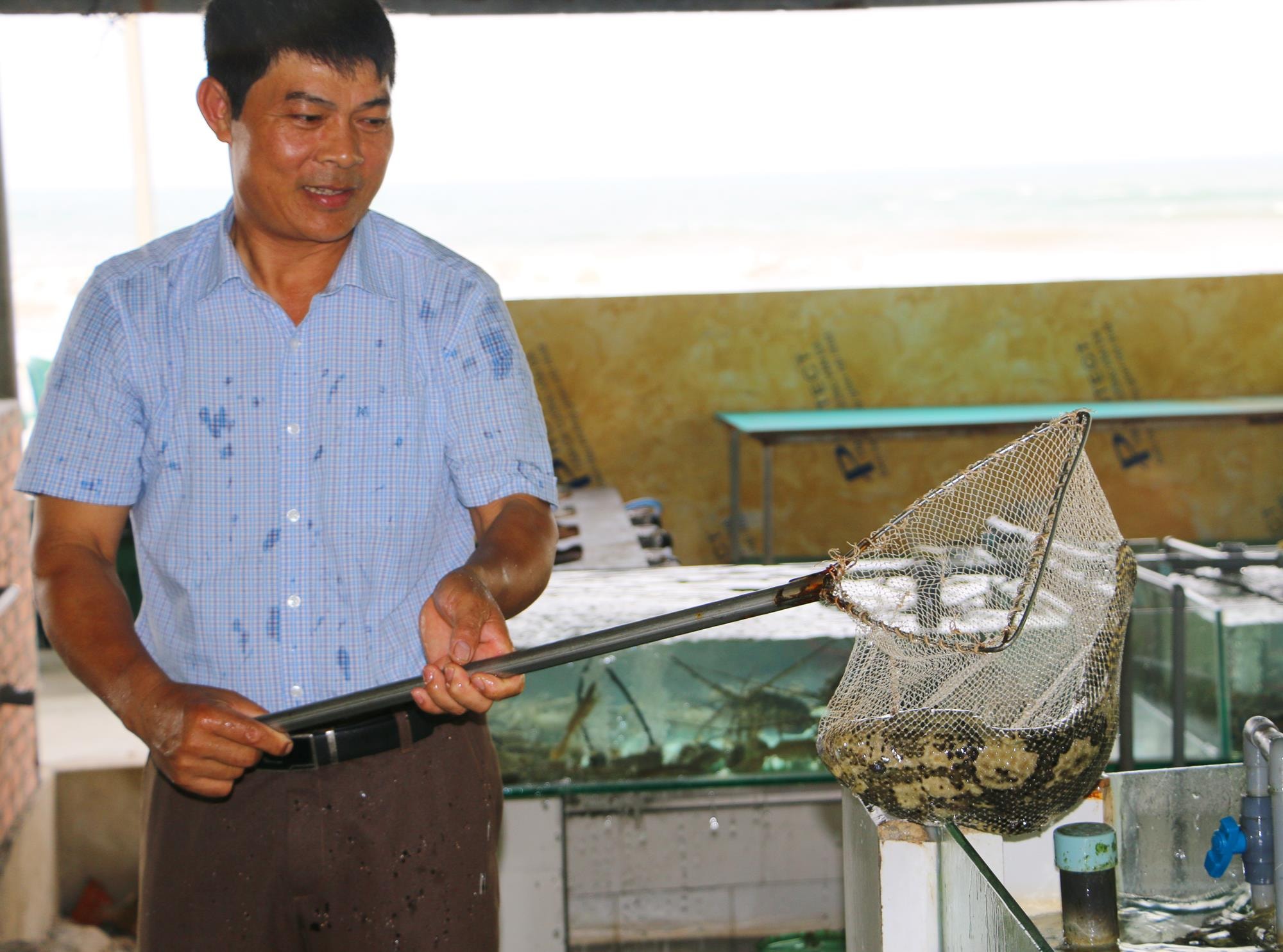 Quý khách cũng có thể lựa chọn món cá mú để sốt hoặc nấu cháo