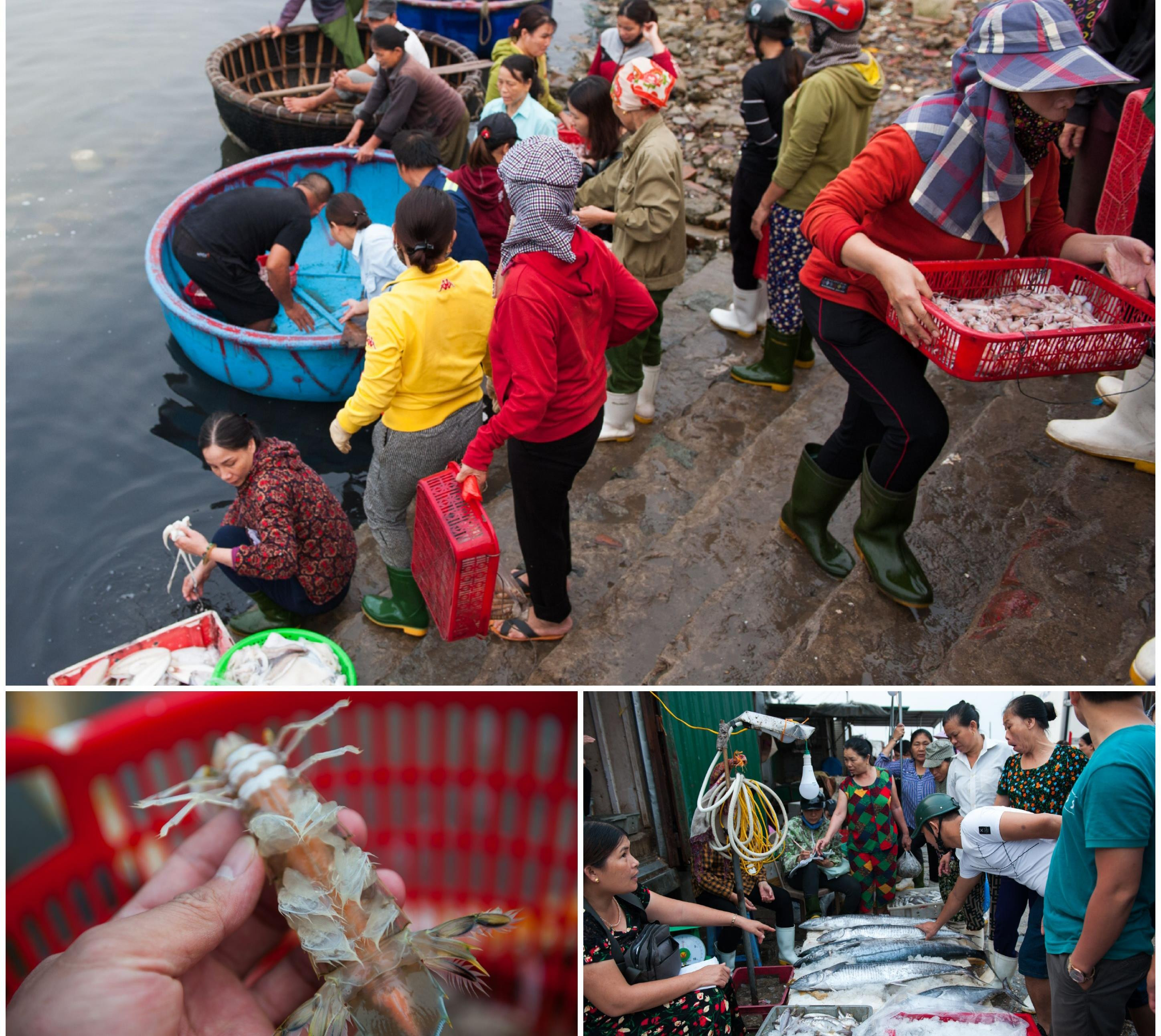 Chợ hải sản Cửa Lò được biết đến là nơi có nhiều hải sản tươi ngon với giá cả hợp lý. Ảnh tư liệu