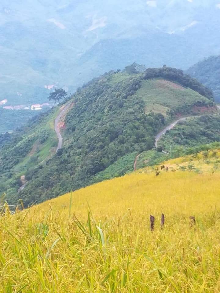 Núi rừng Kỳ Sơn