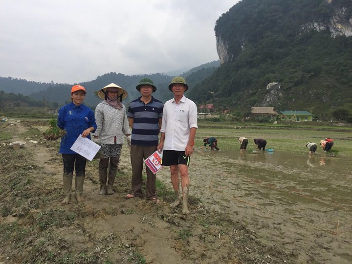 Cán bộ công ty Vĩnh Hòa cùng người dân trồng lúa thảo dược.