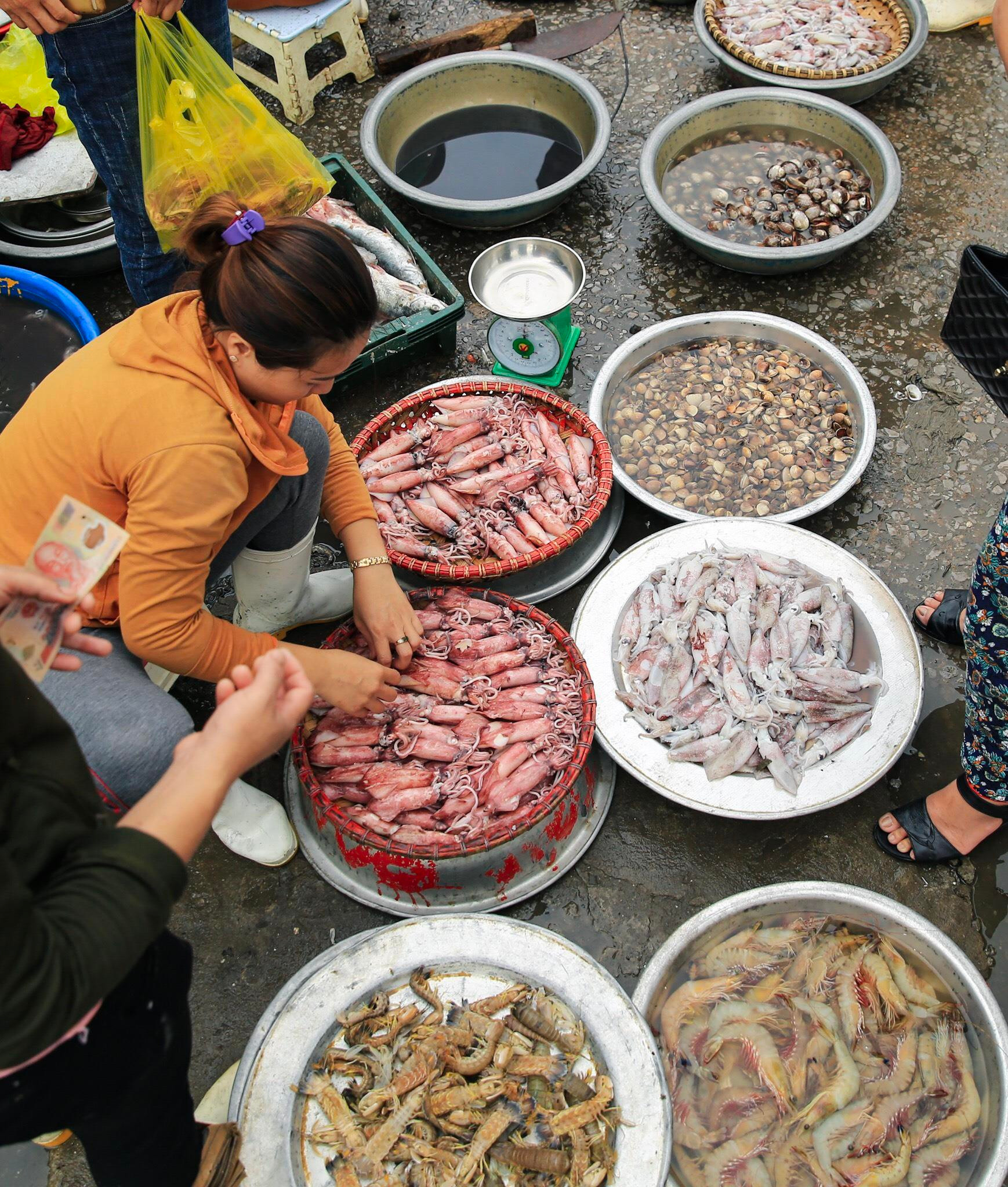 Những mẹt mực nháy, 