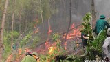 Tăng cường phối hợp hạn chế thấp nhất các vụ cháy rừng trong năm 2019