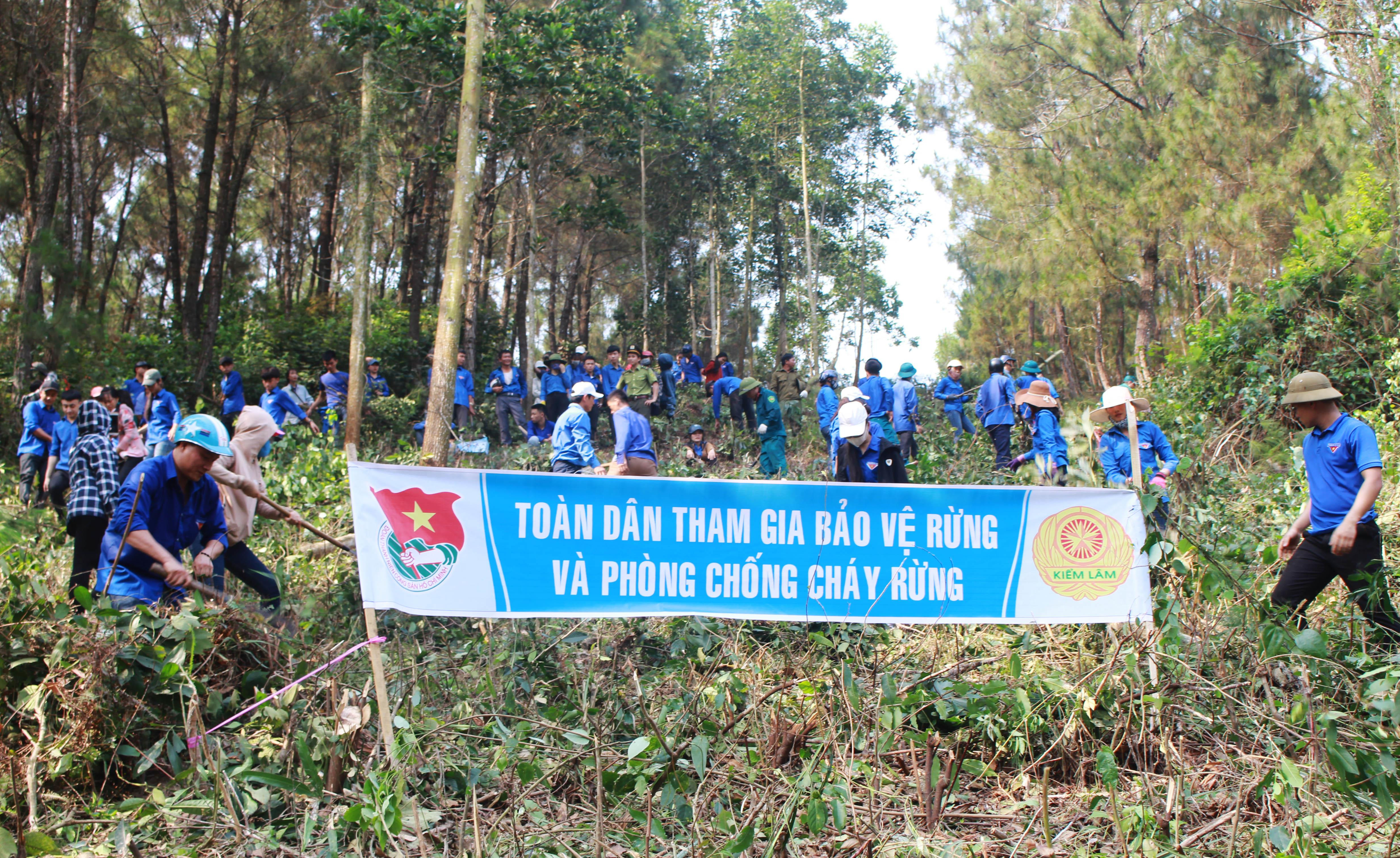 Hàng trăm đoàn viên, thanh niên đã thực hiện phát quang thực bì, thu gom vật liệu dễ cháy ra khỏi rừng sau lễ ra quân. Ảnh: Phương Thúy