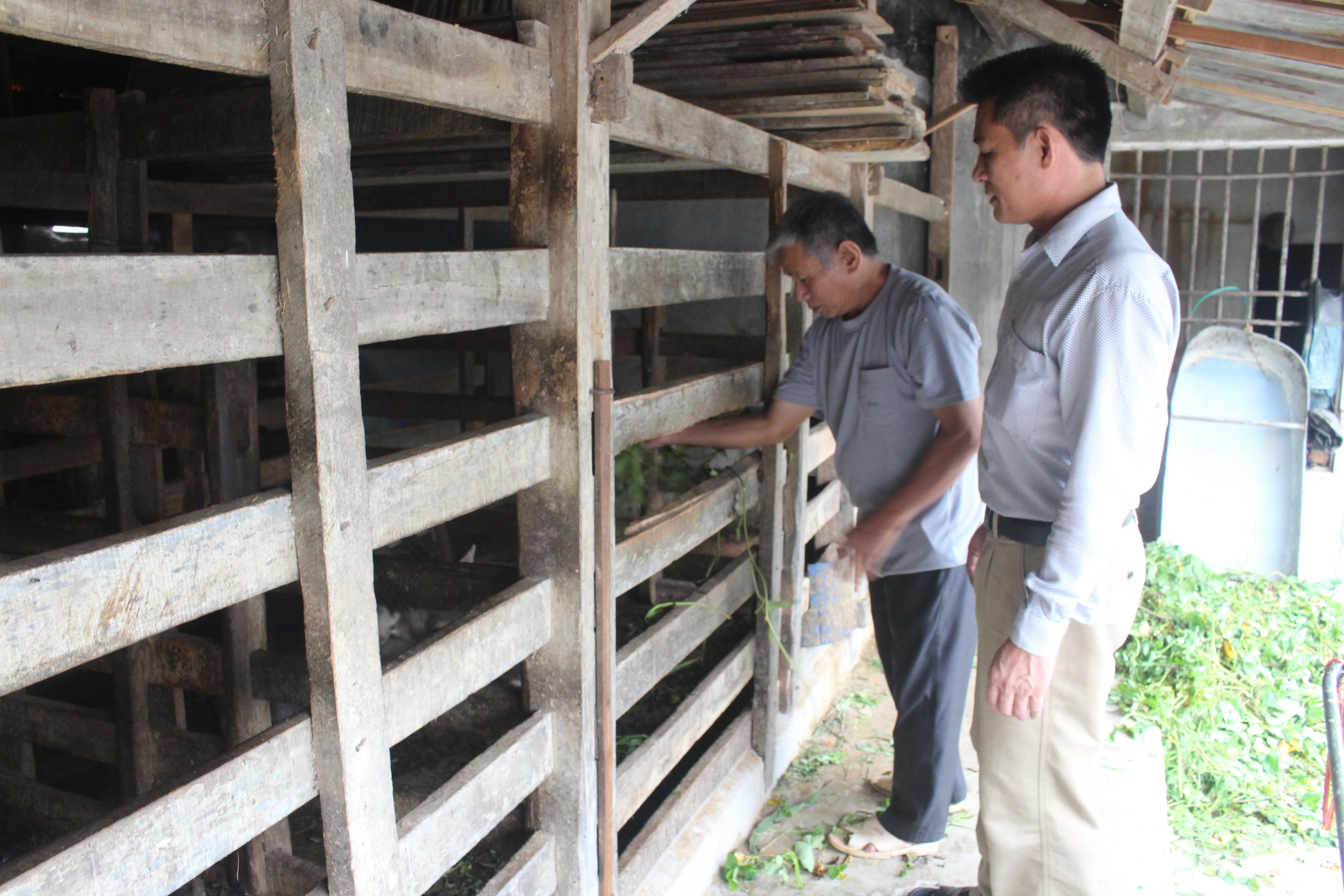 Phát triển chăn nuôi hươu nai đang là thế mạnh của thôn 8