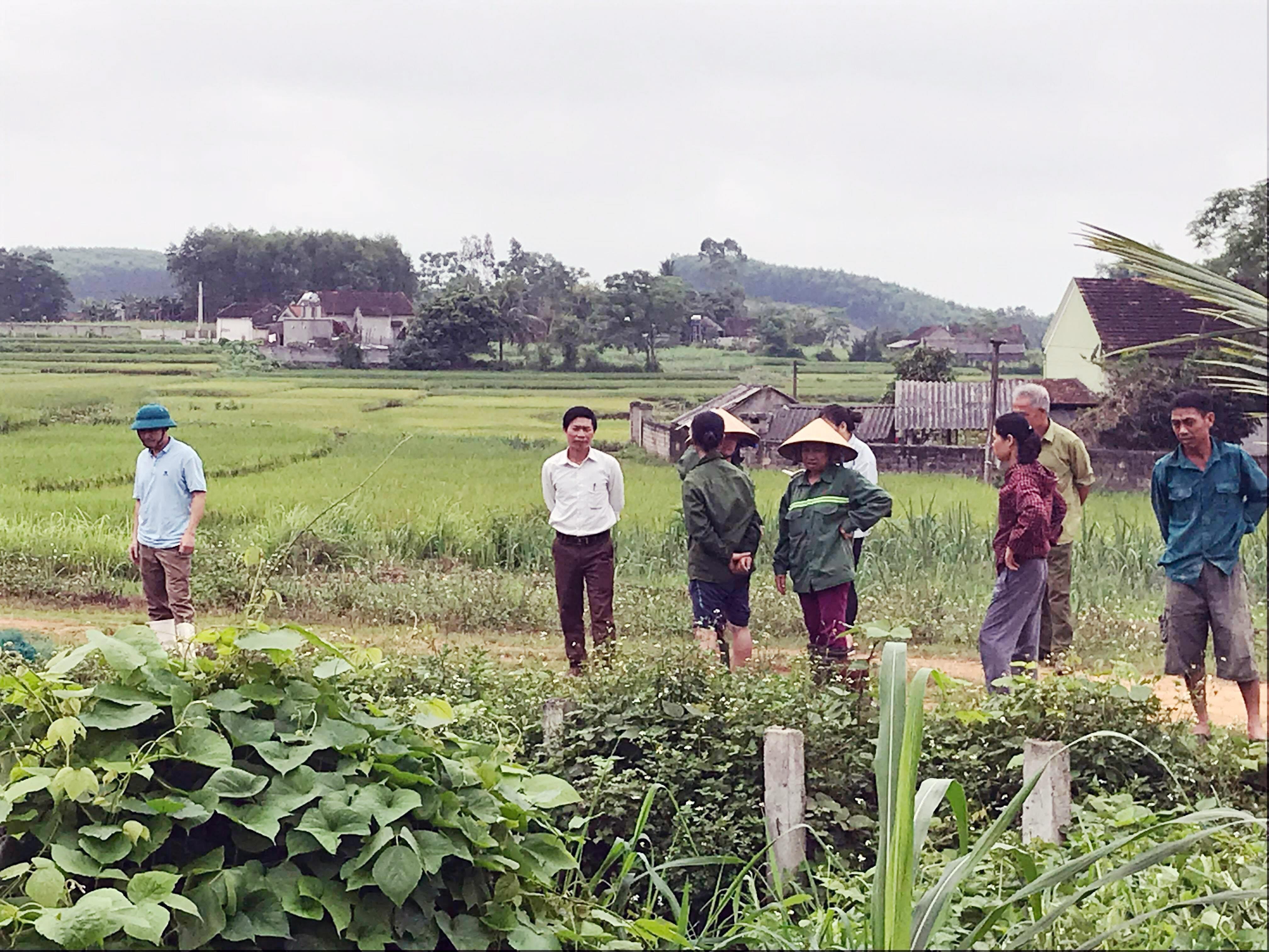 Lãnh đạo xã và người dân tại hiện trường cá chết. Ảnh: Minh Thái