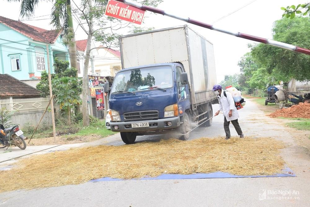 Huyện Tân Kỳ nỗ lực khống chế dịch tả lợn châu Phi trong hơn 1 tháng qua. Ảnh: Xuân Hoàng