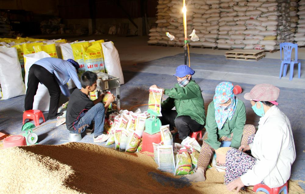 Hoạt động chế biến gạo ở nhà máy chế biến gạo của Tổng Công ty Vật tư Nông nghiệp Nghệ An. Ảnh: Văn Trường