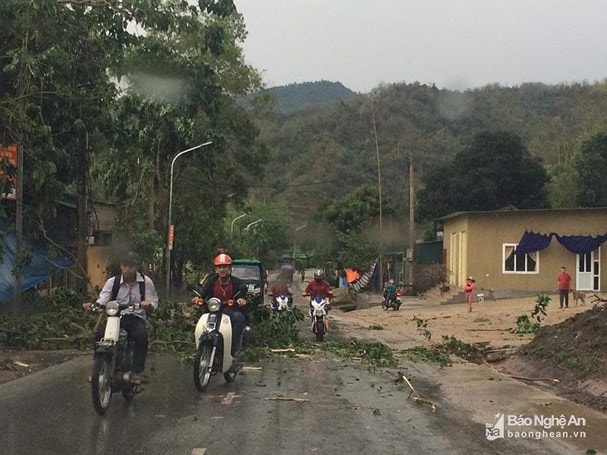 Nghệ An có mưa dông, trong cơn dông đề phòng lốc, sét, gió giật mạnh. Ảnh minh họa