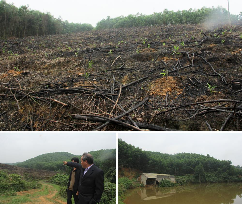 Khu vực đồi rừng mà ông Hoàng Văn Nam - Xóm trưởng xóm 13 cho rằng thuộc quyền quản lý sử dụng của ông Phạm Đức Thế. 