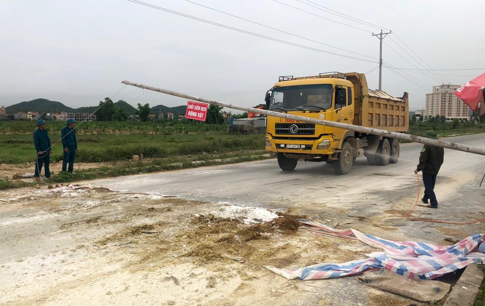 Phun tiêu độc khử trùng các phương tiện qua chốt kiểm dịch trên đường số 3, phường Quỳnh Dị, thị xã Hoàng Mai