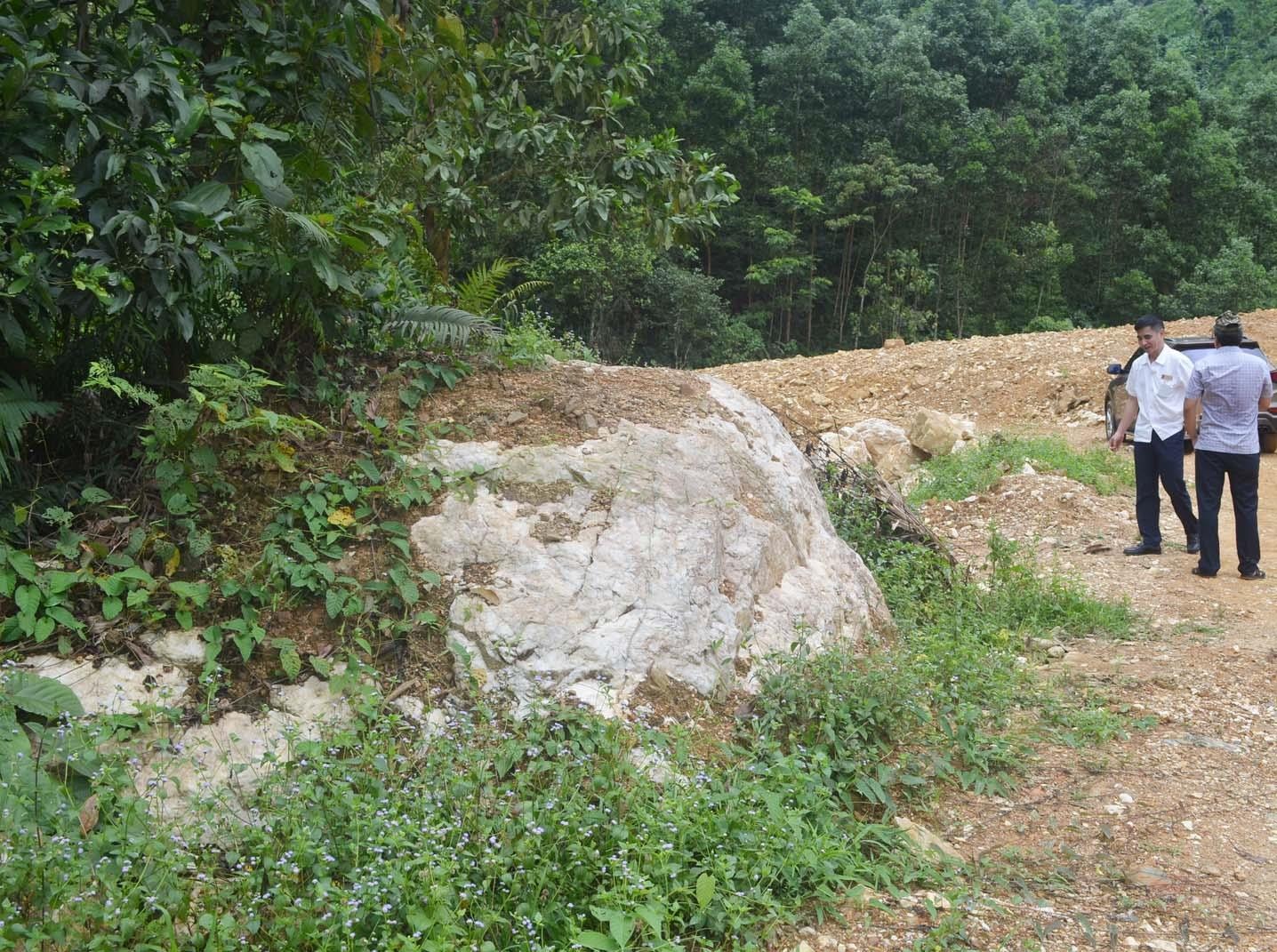 Còn đây là một khối quặng thạch anh cực lớn ở khu vực bản Nhạn Cán, xã Thanh Sơn. Phần nhô lên khỏi mặt đất của khối quặng đã cao đến gần 2m. Ảnh: NPV