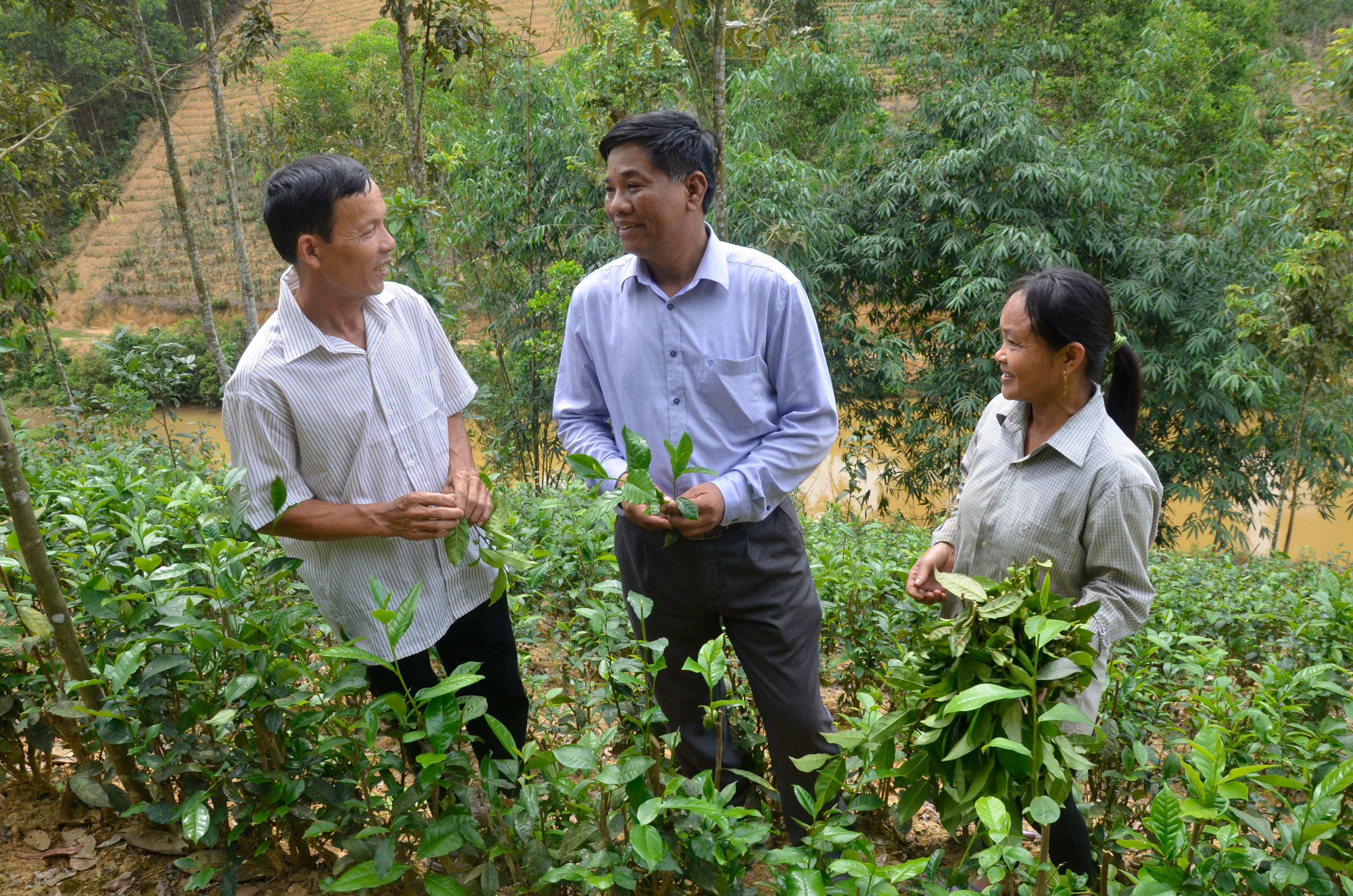 Cán bộ xã Cao Sơn (Anh Sơn) kiểm tra, động viên nhân dân phát triển  mô hình trồng chè. Ảnh: Lê Thanh