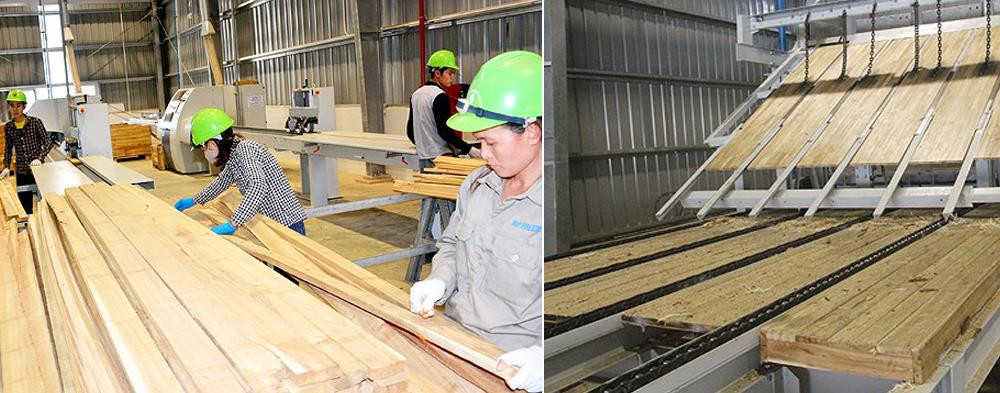 Dây chuyền sản xuất gỗ ván thanh ở Nhà máy gỗ MDF Nghĩa Đàn. Ảnh: Tư liệu