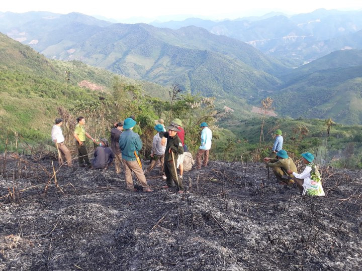 Lực lượng chức năng huyện Kỳ Sơn điều tra xác minh vụ cháy rừng ngày 10/6. Ảnh: Lữ Phú