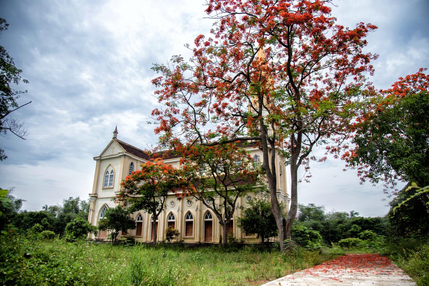 Nhà thờ ở Hưng Xuân dưới chân đê Tả Lam yên bình dưới tán phượng đỏ thắm.