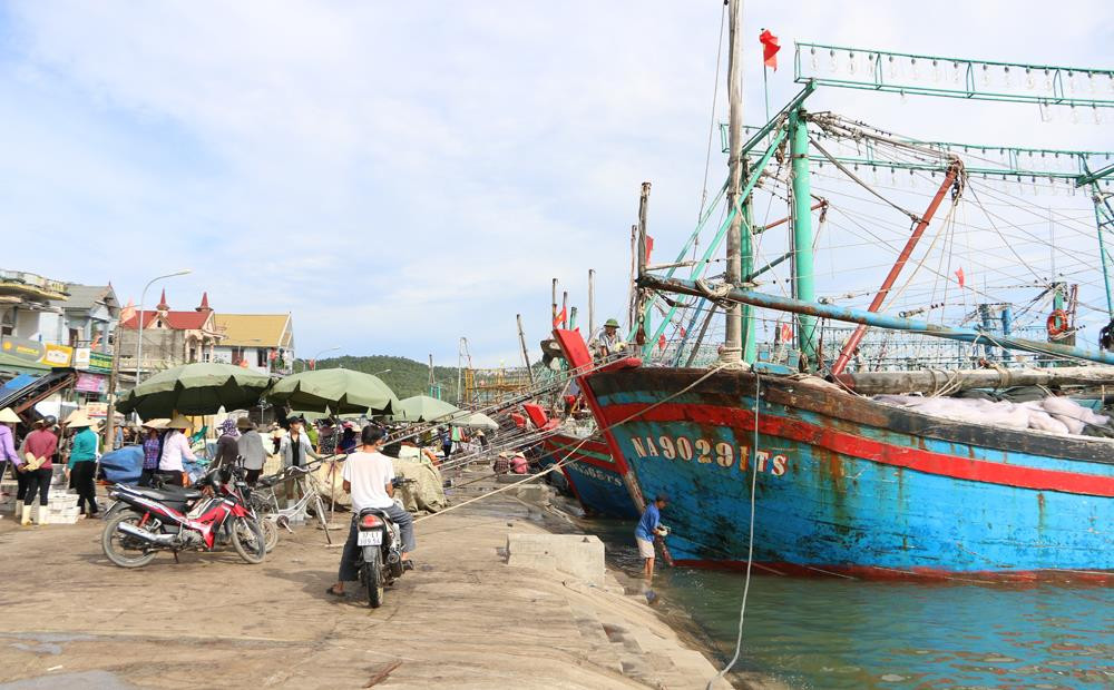 Tàu thuyền về cập bến về làm thủ tục tại bờ Bắc cảng cá Lạch Quèn. Ảnh: Nguyễn Hải