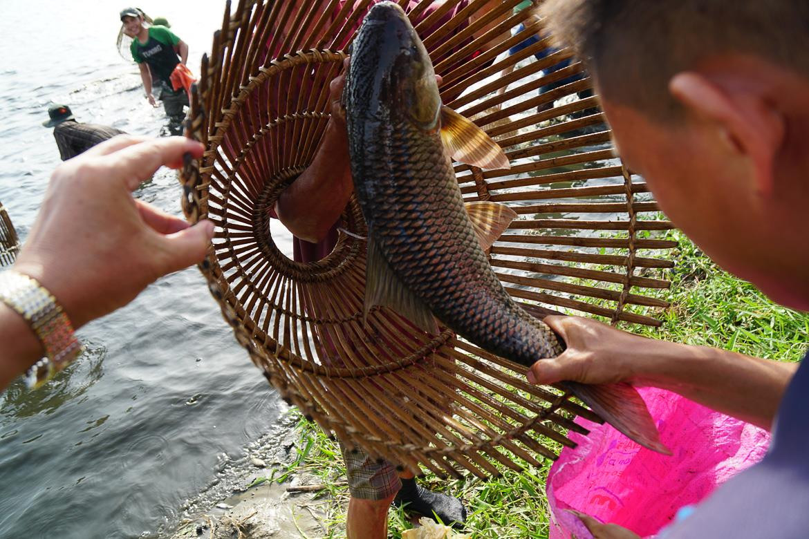 Ảnh Hồ Đình Chiến.