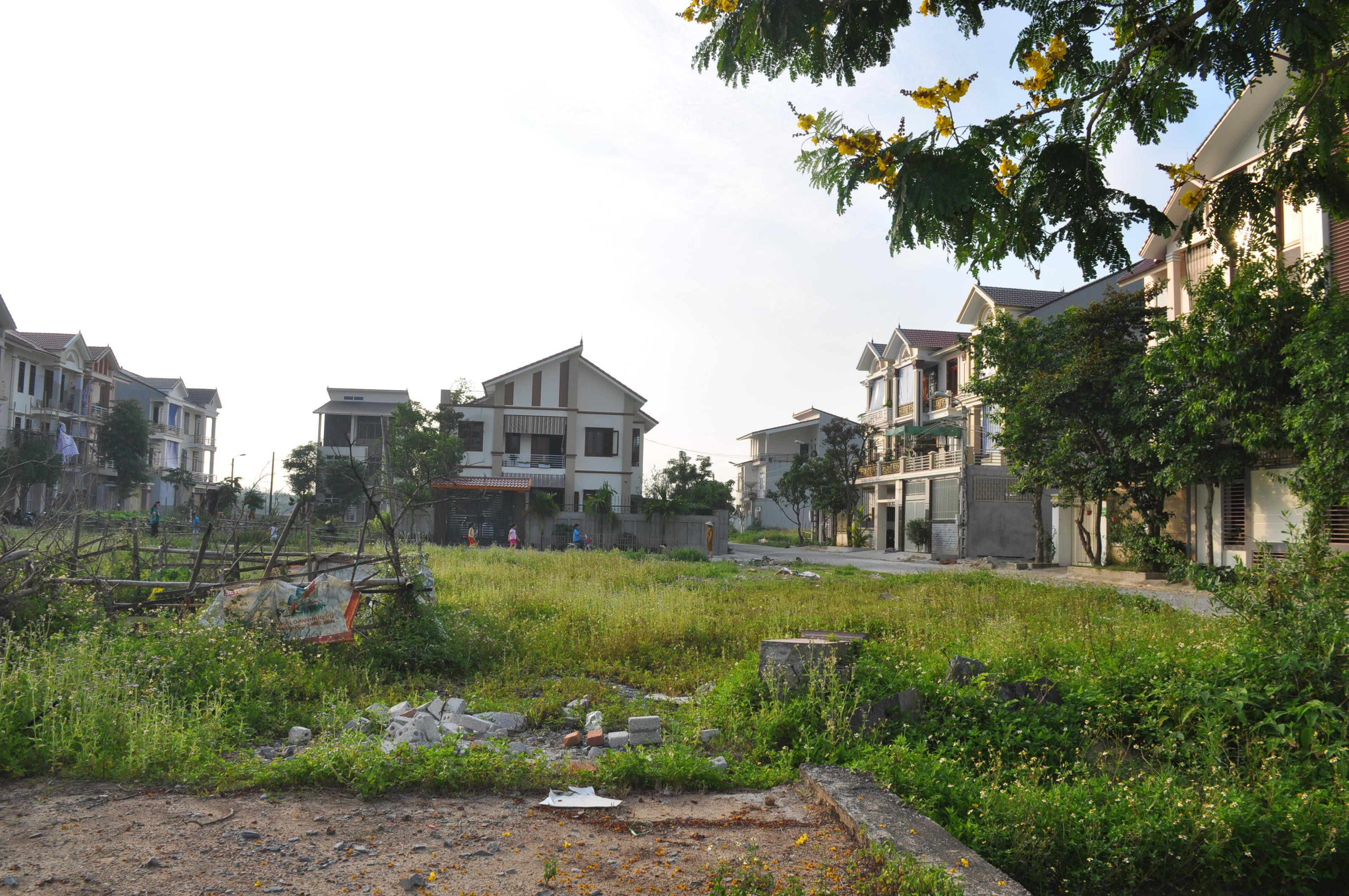 Nhiều lô đất quy hoạch tại một dự án bất động sản ở thành phố Vinh chưa được xây dựng nhà ở. Ảnh: Việt Phương