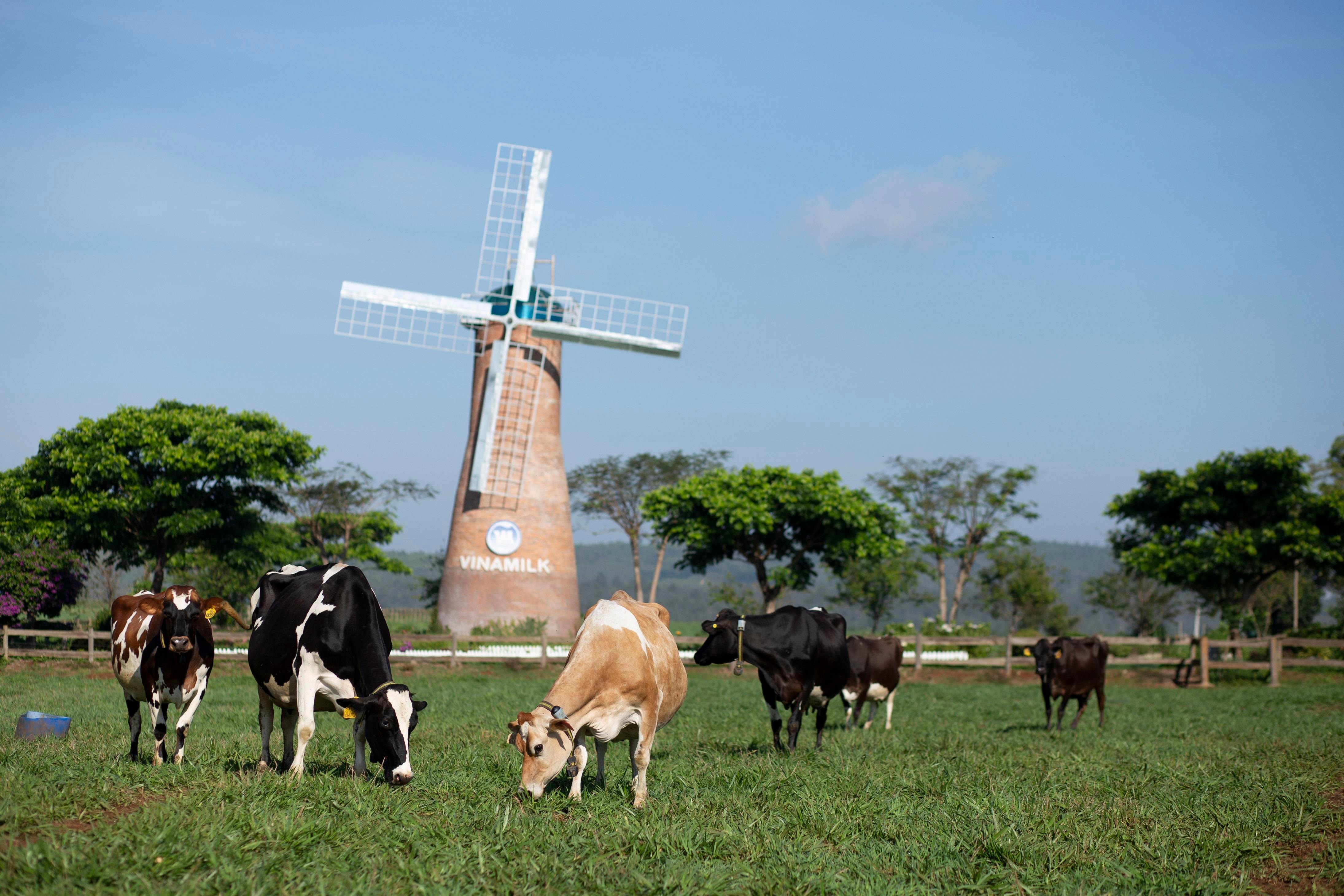 Trang trại bò sữa Organic Đà Lạt là trang trại đầu tiên đạt chứng nhận Organic châu Âu tại Việt Nam.