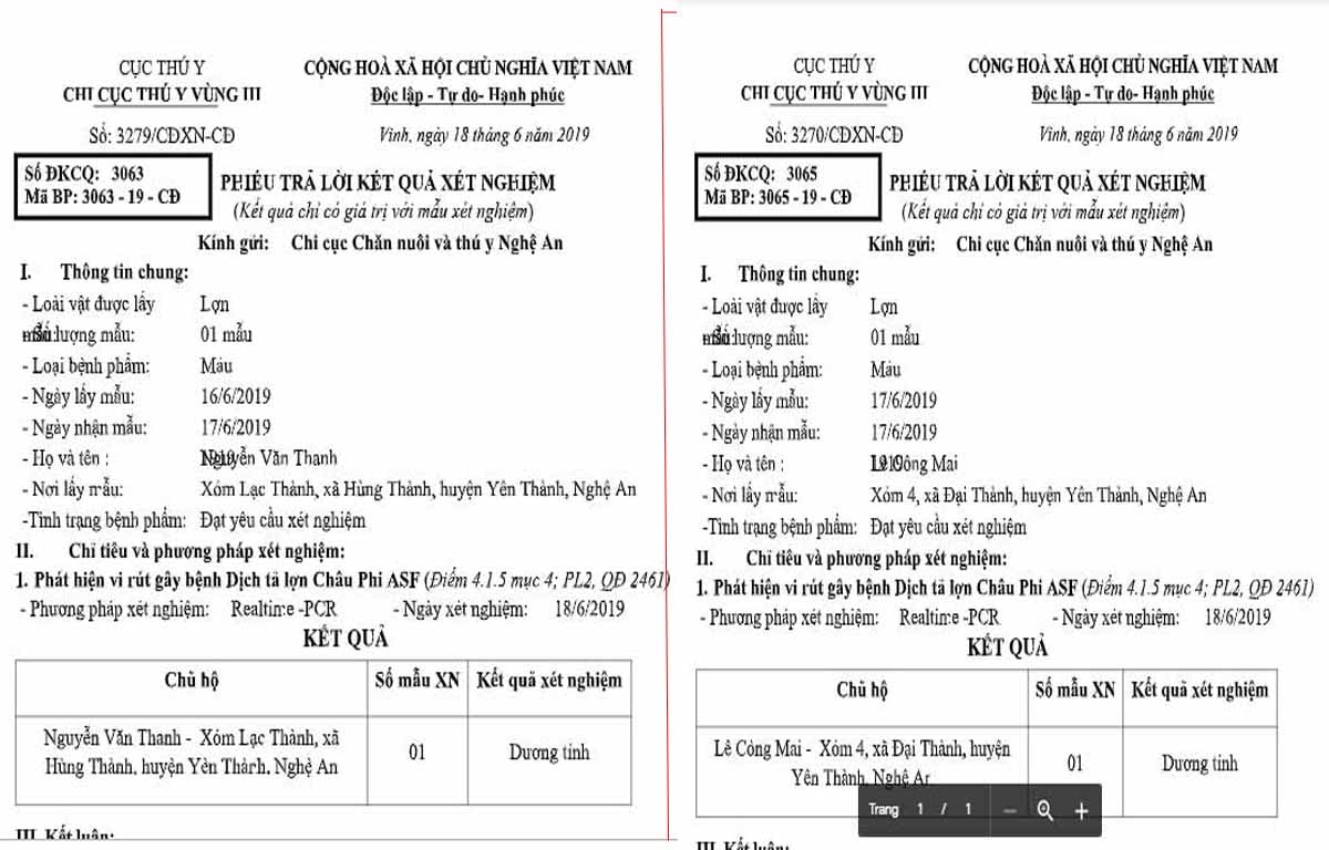 mẫu xét nghiệm kết quả dương tính dịch tả lợn châu Phi tại 2 xã Đại Thành và Hùng Thành. Ảnh: Xuân Hoàng