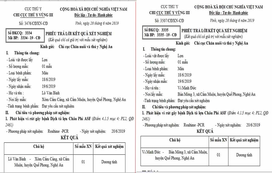 Kết quả xét nghiệm bệnh dịch tả lợn châu Phi tại xã Cắm Muộn. Ảnh: Xuân Hoàng