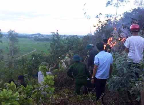 Huy động lực lượng tham gia chữa cháy rừng bạch đàn ở xã Quỳnh Hoa, huyện Quỳnh Lưu. Ảnh: CTV.