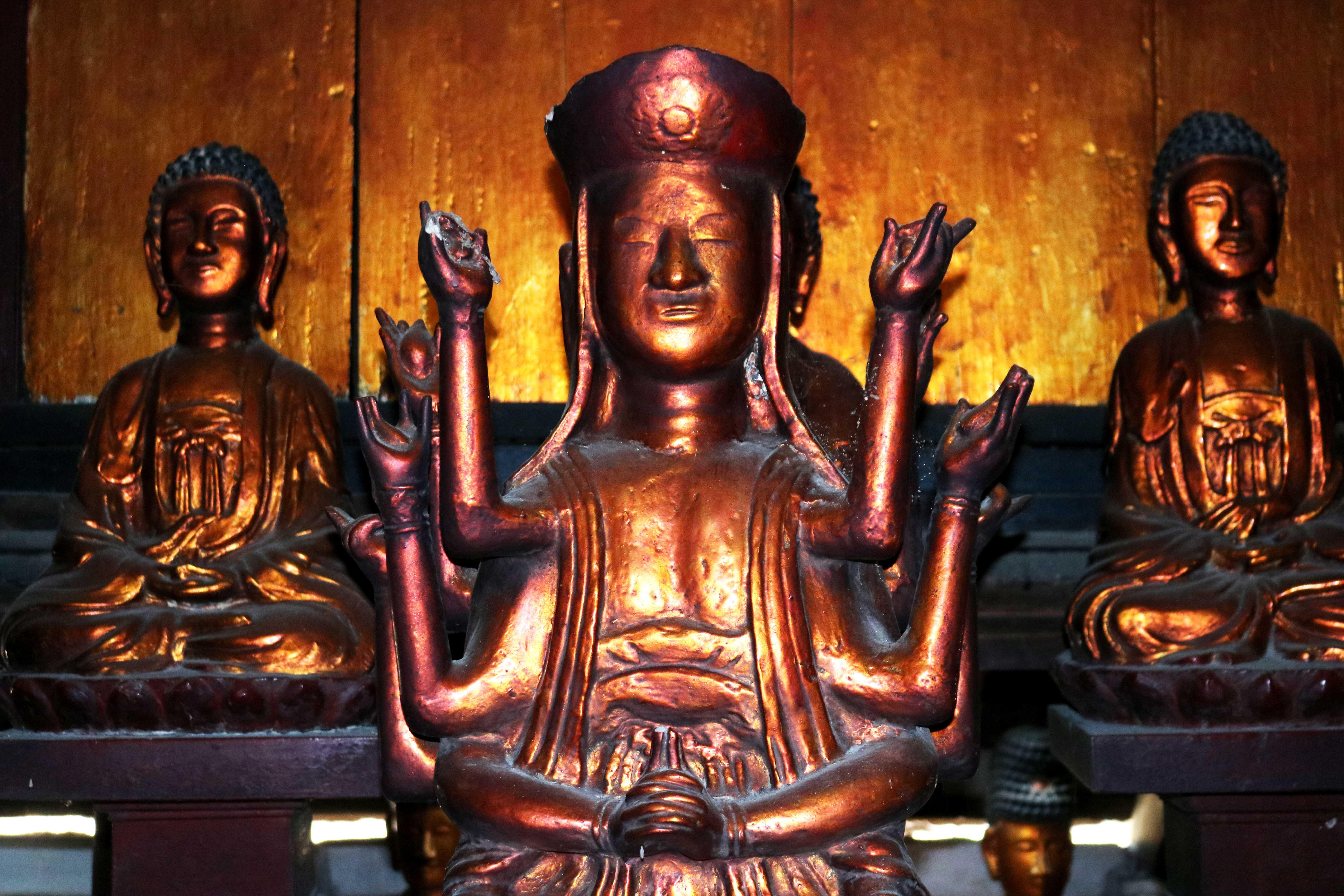 Tượng Phật bà Quan âm 12 tay được xem là một trong  những pho tượng cổ nhất của chùa, phản ánh được sự tích hình thành chùa, cũng như mối quan hệ khăng khít giữa chùa Bà Bụt và đền Quả Sơn thờ Uy Minh Vương Lý Nhật Quang ở xã Bồi Sơn. 