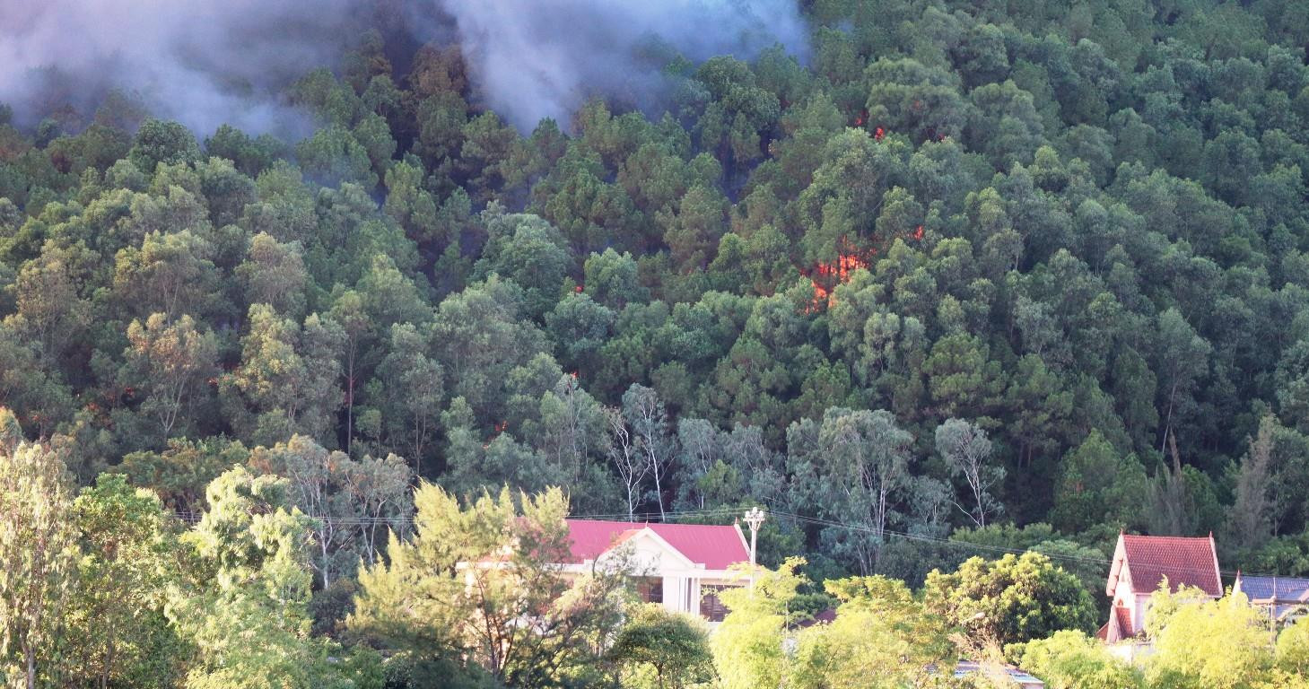 Rừng thông hàng chục năm tuổi đang cháy đỏ lửa trên núi Hồng Lĩnh. Ảnh: Đắc Lam