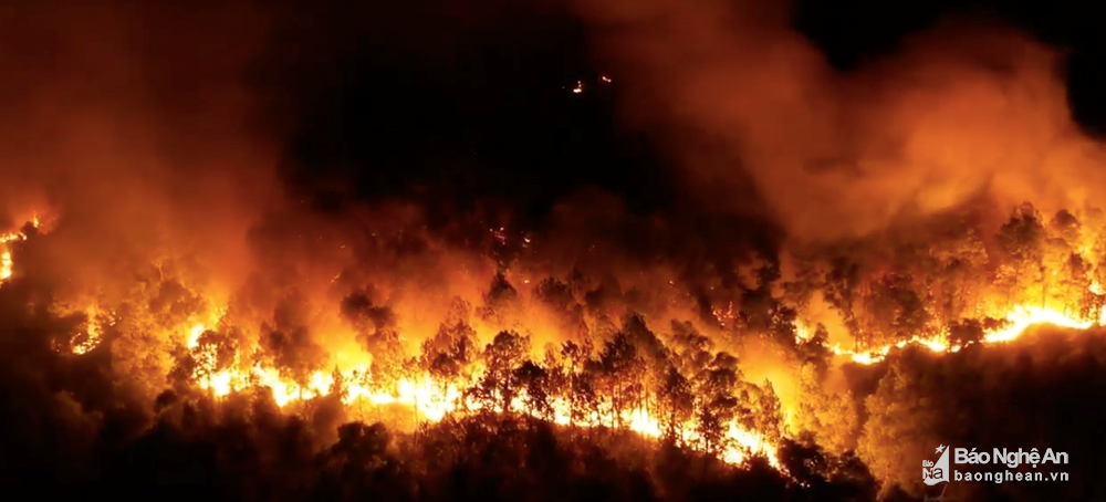 Nắng nóng kéo dài từ đầu tháng 6 đã khiến hàng loạt cánh rừng ở miền Trung cháy rụi.