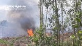 Cháy rừng trồng ở Nghĩa Đàn, nghi do đốt thực bì