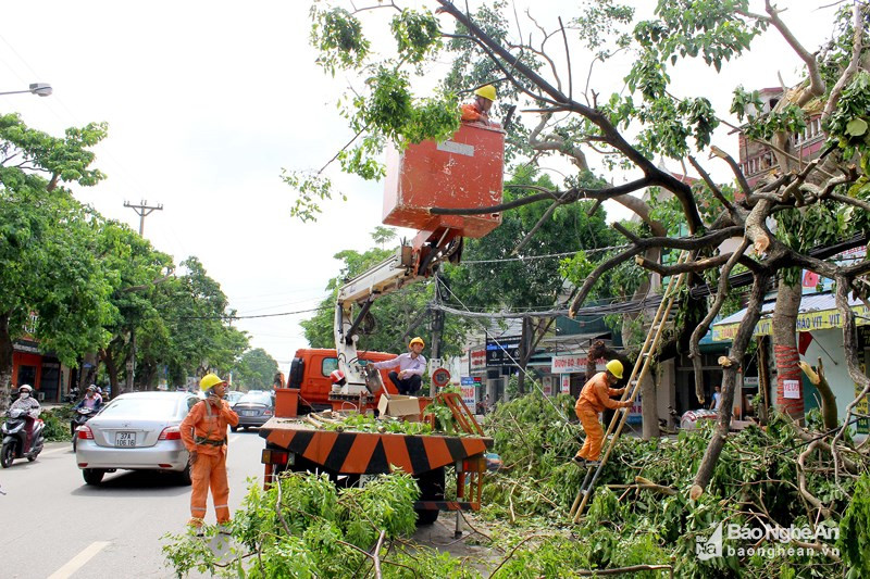 Công nhân Điện lực TP.Vinh chặt bỏ cây xanh nhằm đảm bảo an toàn lưới điện. Ảnh: Quang An