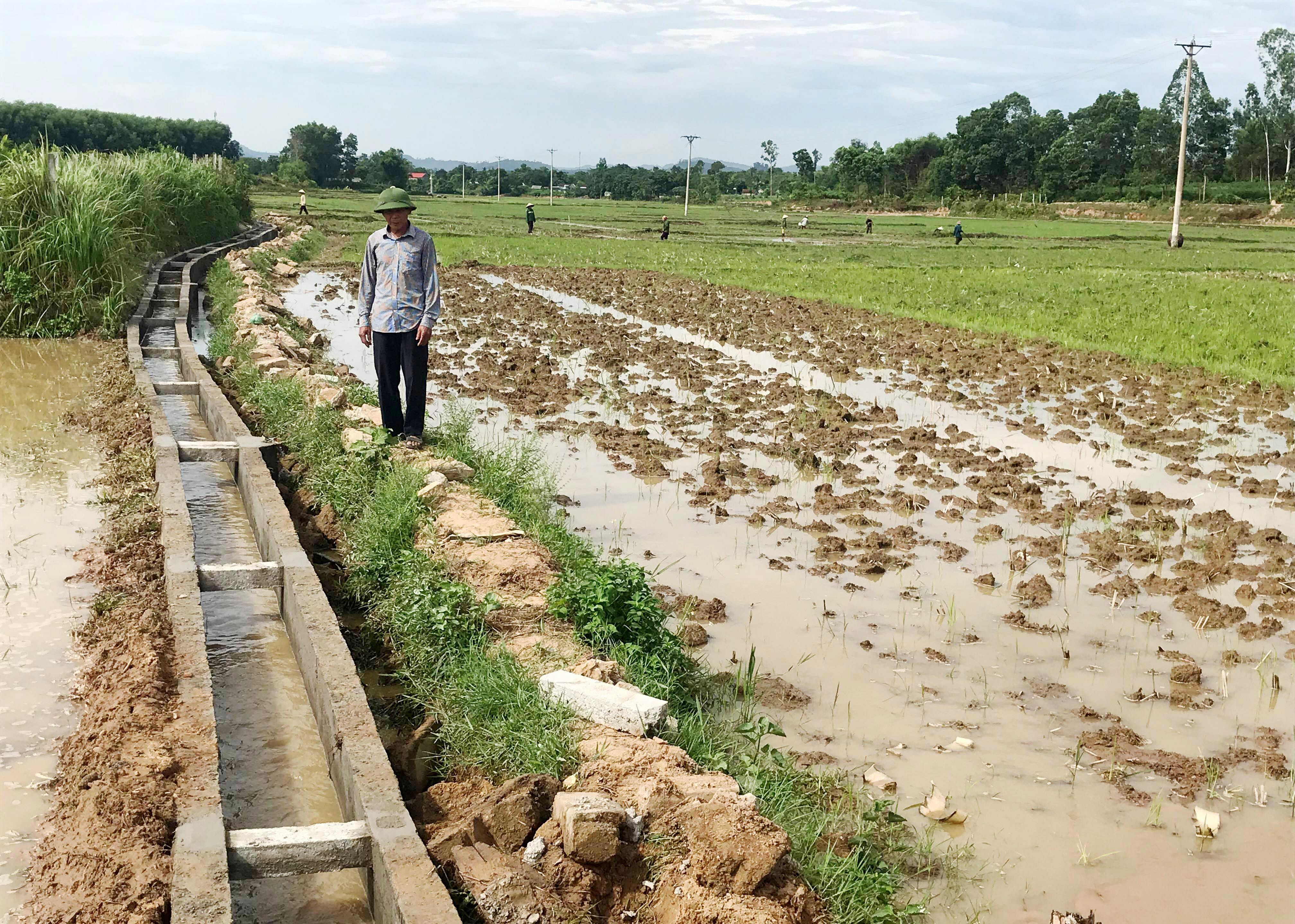 Các tuyến kênh mương đã có nước để phục vụ sản xuất nông nghiệp. Ảnh Minh Thái