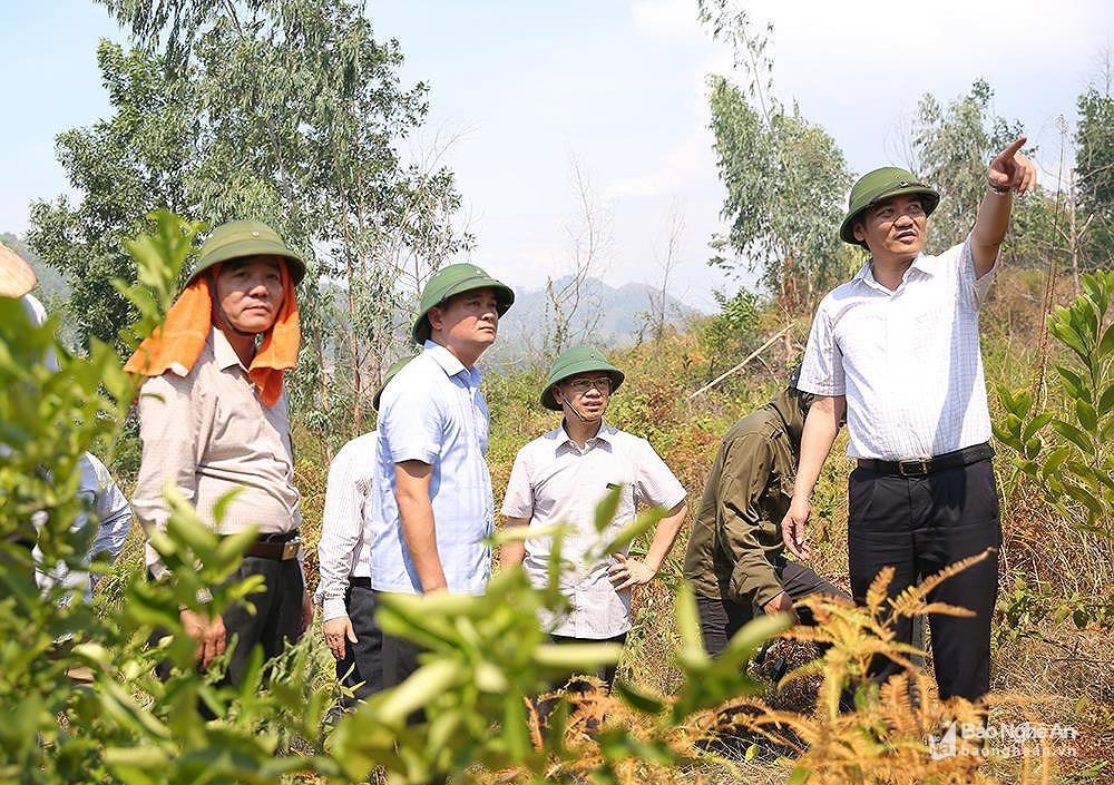 Các lãnh đạo tỉnh Nghệ An trực tiếp đến hiện trường vụ cháy rừng để chỉ đạo. Ảnh tư liệu