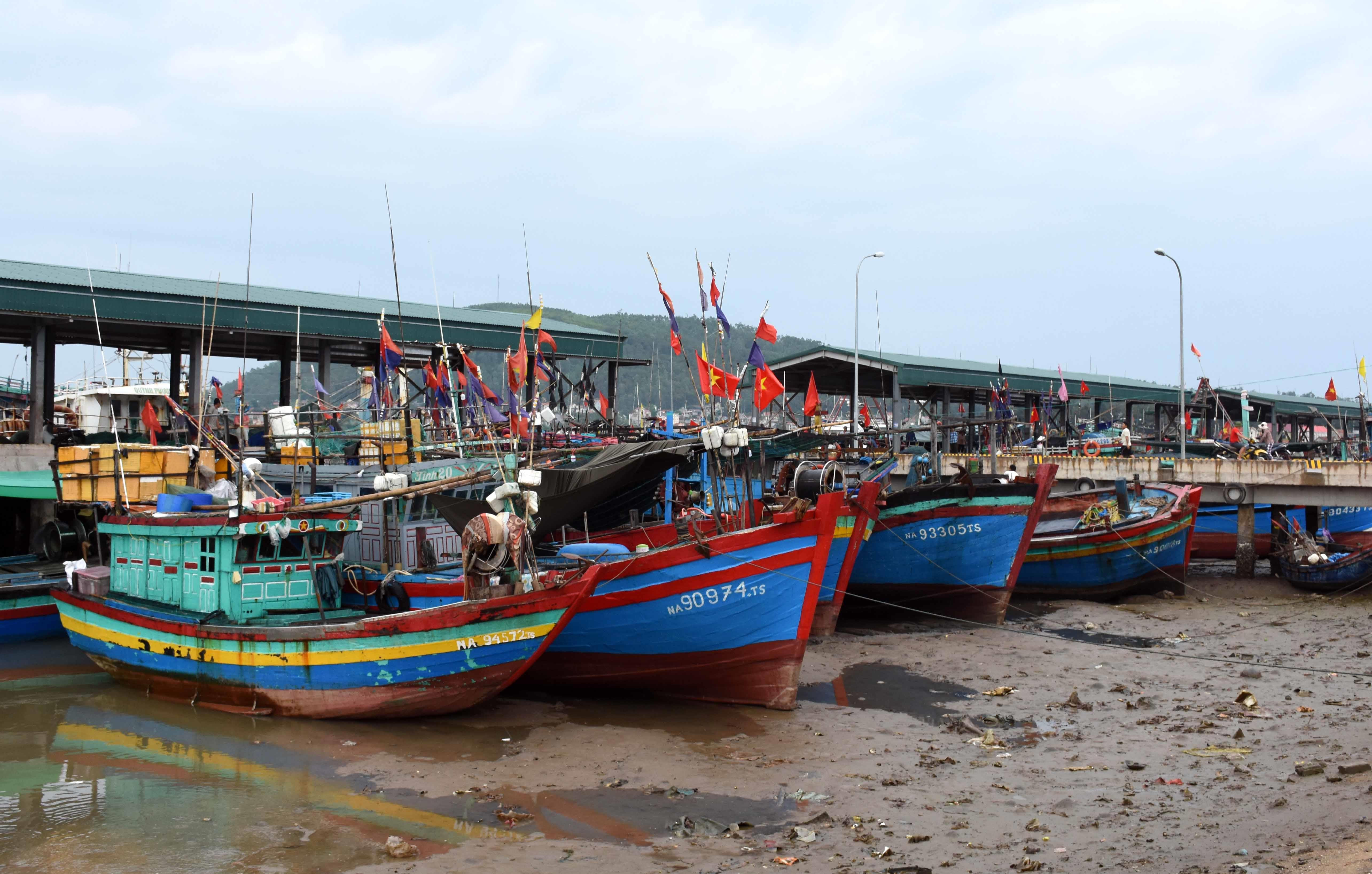 Tàu thuyền của ngư dân đã neo đậu tại khu vực cảng cá Quỳnh Phương. Ảnh: Thanh Yên