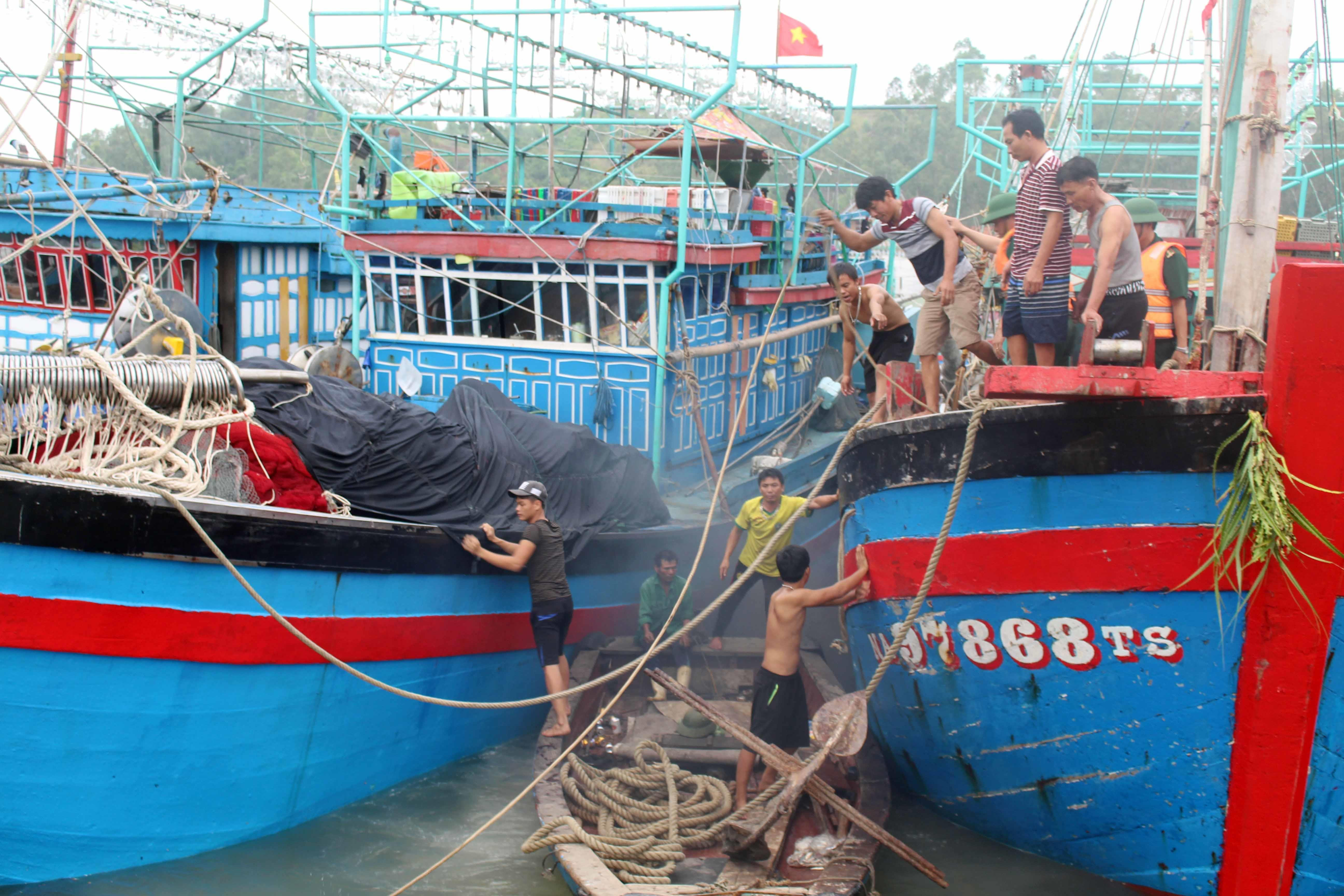 Tính đến 10 giờ sáng ngày 3/7, gần 1.200 tàu cá của ngư dân Quỳnh Lưu đã về bến tránh trú an toàn. Riêng vẫn còn 25 tàu vẫn chưa liên lạc được. Ảnh: Việt Hùng