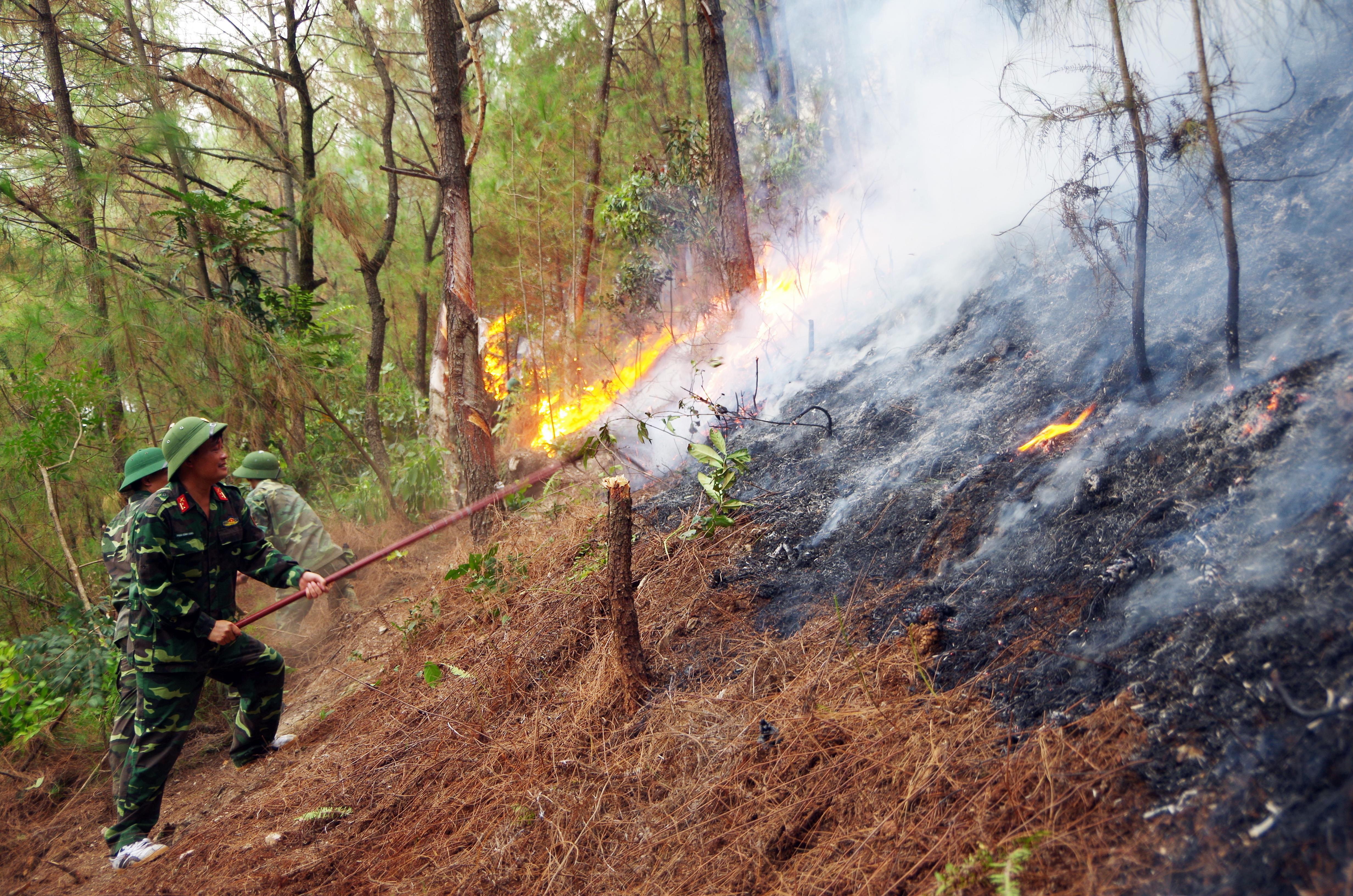 Lực lượng vũ trang tỉnh tham gia giúp người dân chữa cháy rừng tại xã Nam Lộc, Nam Đàn. Ảnh: Trọng Kiên