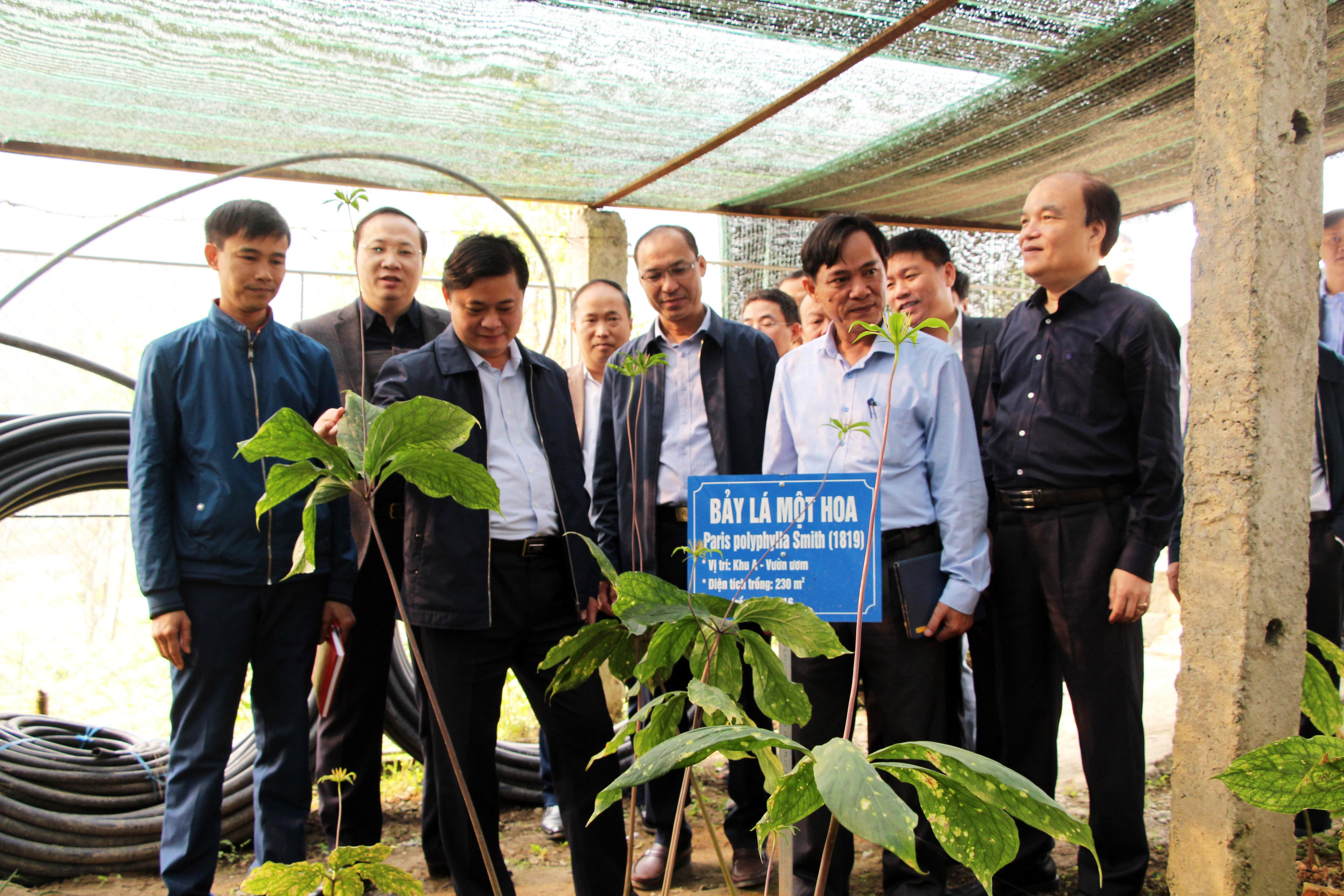 Chủ tịch UBND tỉnh Thái Thanh Quý tham quan vườn dược liệu tại xã Mường Lống (Kỳ Sơn) Ảnh: Đào Tuấn