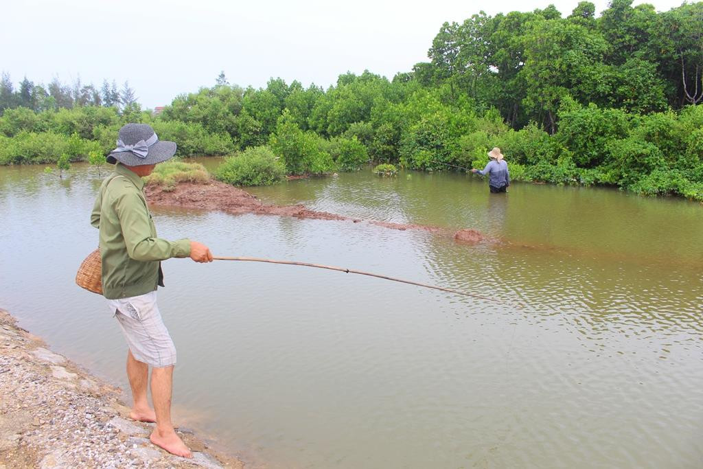 Vào những ngày tháng đầu tháng 7, những cánh rừng ngập mặn giáp biển ở Quỳnh Lưu là điểm đến lý tưởng cho những người chuyên săn tìm con “đặc sản” . Tại dòng sông Mơ đoạn qua xã Quỳnh Minh, xuất hiện những tay săn đang câu cá bống rạ.  