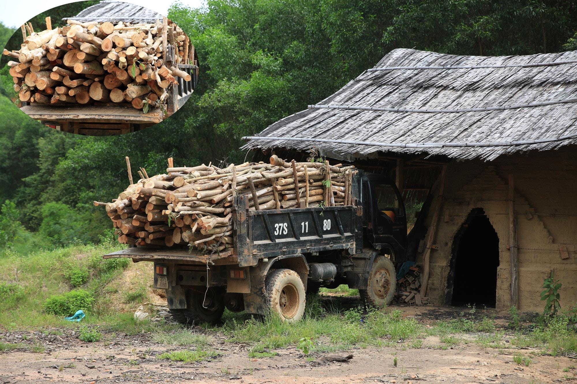 Được biết, số lò đốt than ở khu vực xóm Đào Nguyên có hơn 10 lò đốt than của 3 cá nhân là ông Phạm Ngọc Hiển có 3 lò, 2 lò đang hoạt động; ông Phạm Văn Bằng có 4 lò, trong đó 1 lò đang hoạt động, 2 lò vừa cho gỗ vào. Ảnh: Hồ Phương
