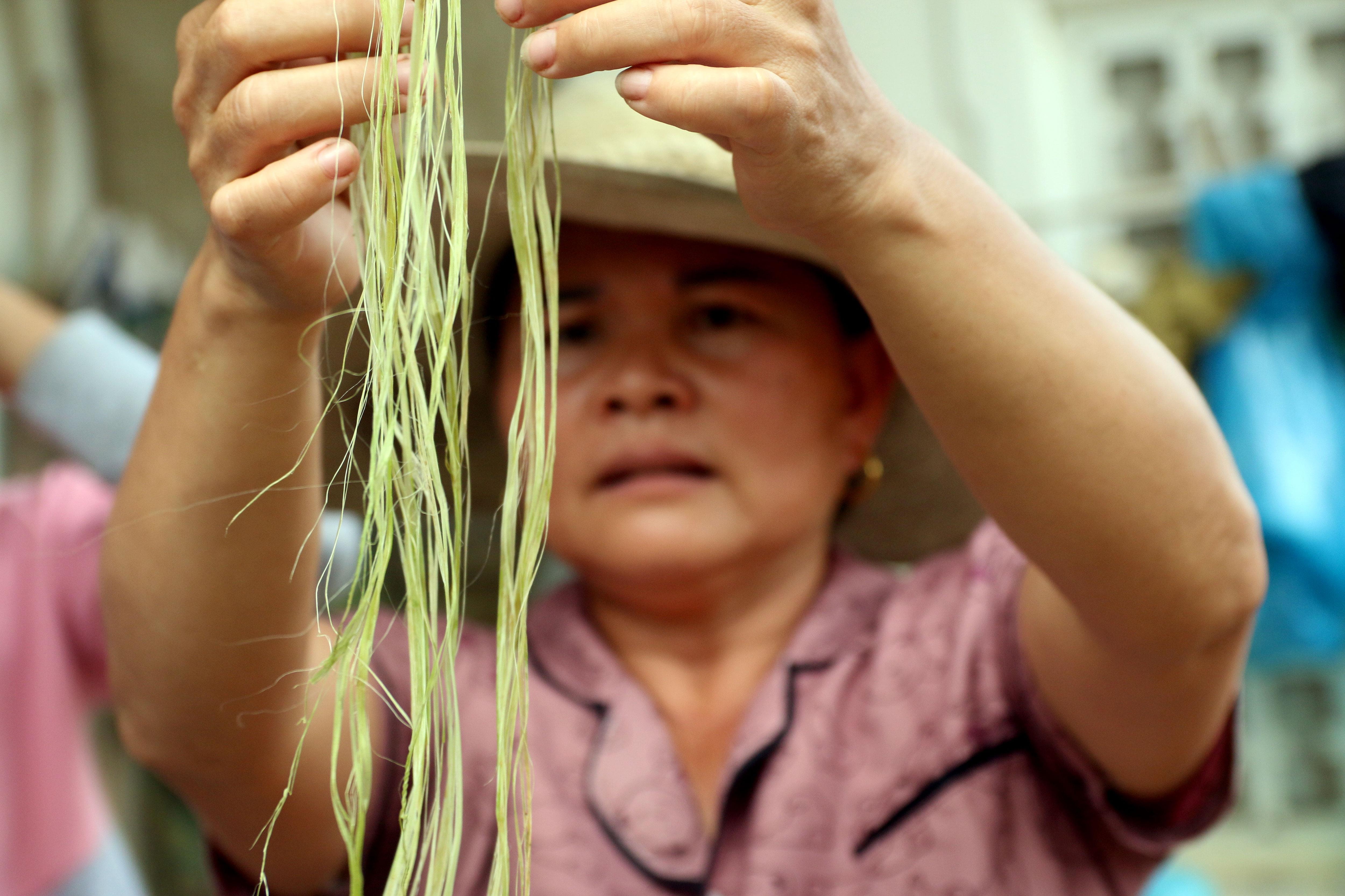 Tước vỏ cây gai khá đơn gian nên các thành viên trong gia đình có thể hỗ trợ nhau để công việc được nhanh chóng hơn và tạo ra bầu không khi sum vầy trong nhà.