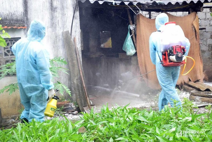 Phun hóa chất khử trùng tại các ổ dịch tả lợn châu Phi trên địa bàn huyện Diễn Châu. Ảnh: Xuân Hoàng