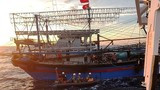 Tìm thấy 2 thi thể thuyền viên nơi tàu cá Nghệ An bị đâm chìm 